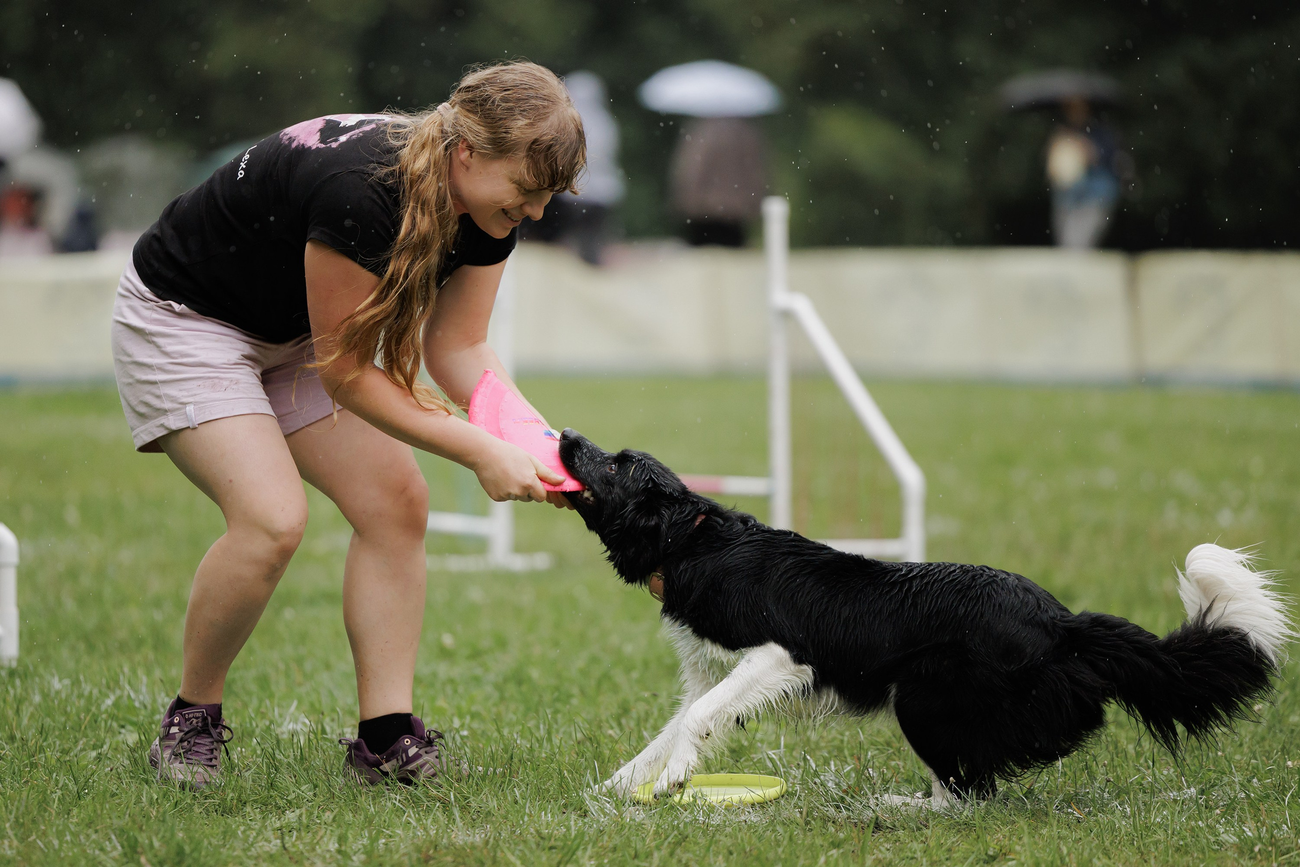 Latające psy, Wrocław'25. Kaja | fotograf psów we Wrocławiu