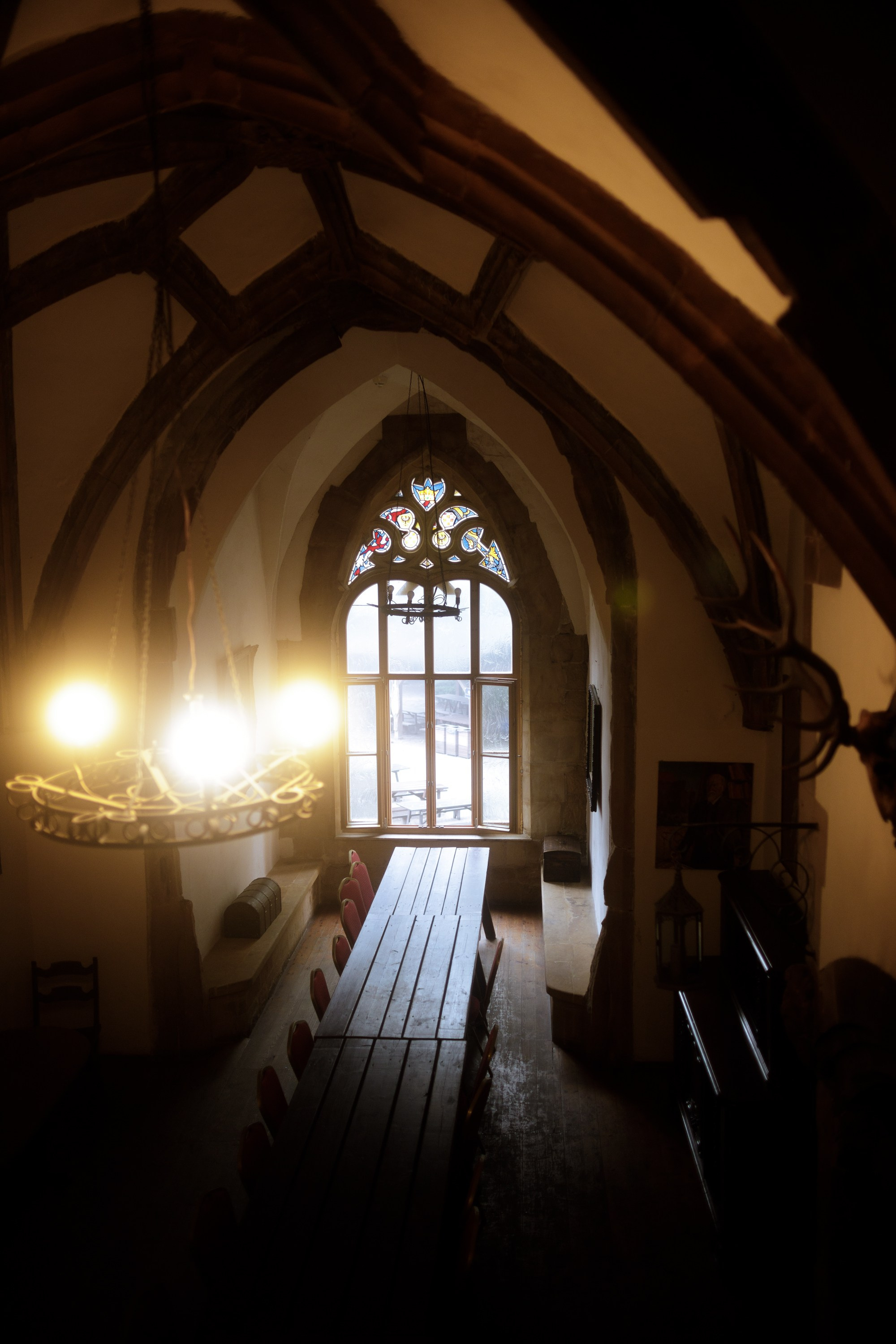 Zamek Grodziec. Kaja | fotograf psów we Wrocławiu