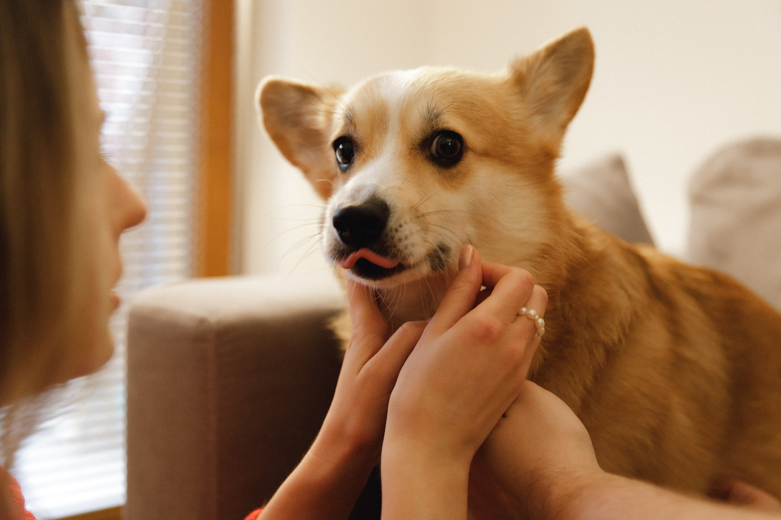 Dasha & Daisy. Kaja | fotograf psów we Wrocławiu
