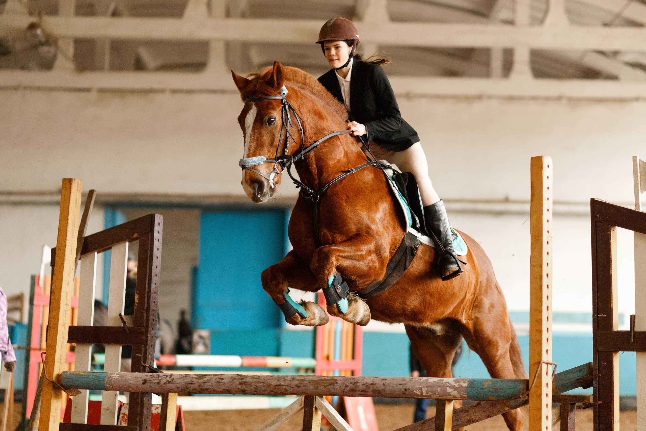 Winter show jumping in «Progress». Kaja | fotograf we Wrocławiu | ludzie i psy