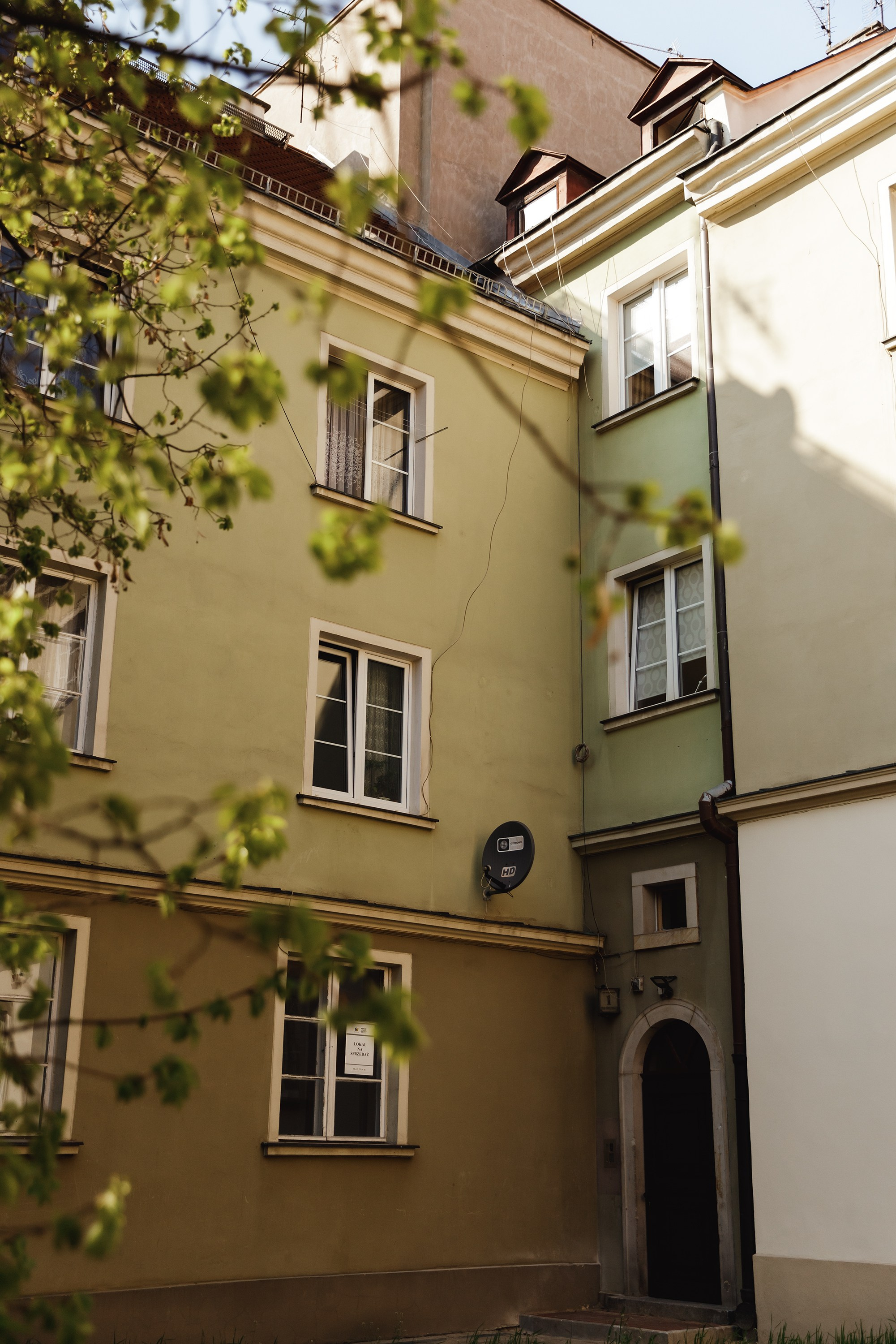 Wroclaw | the best ones. Kaja | fotograf psów we Wrocławiu