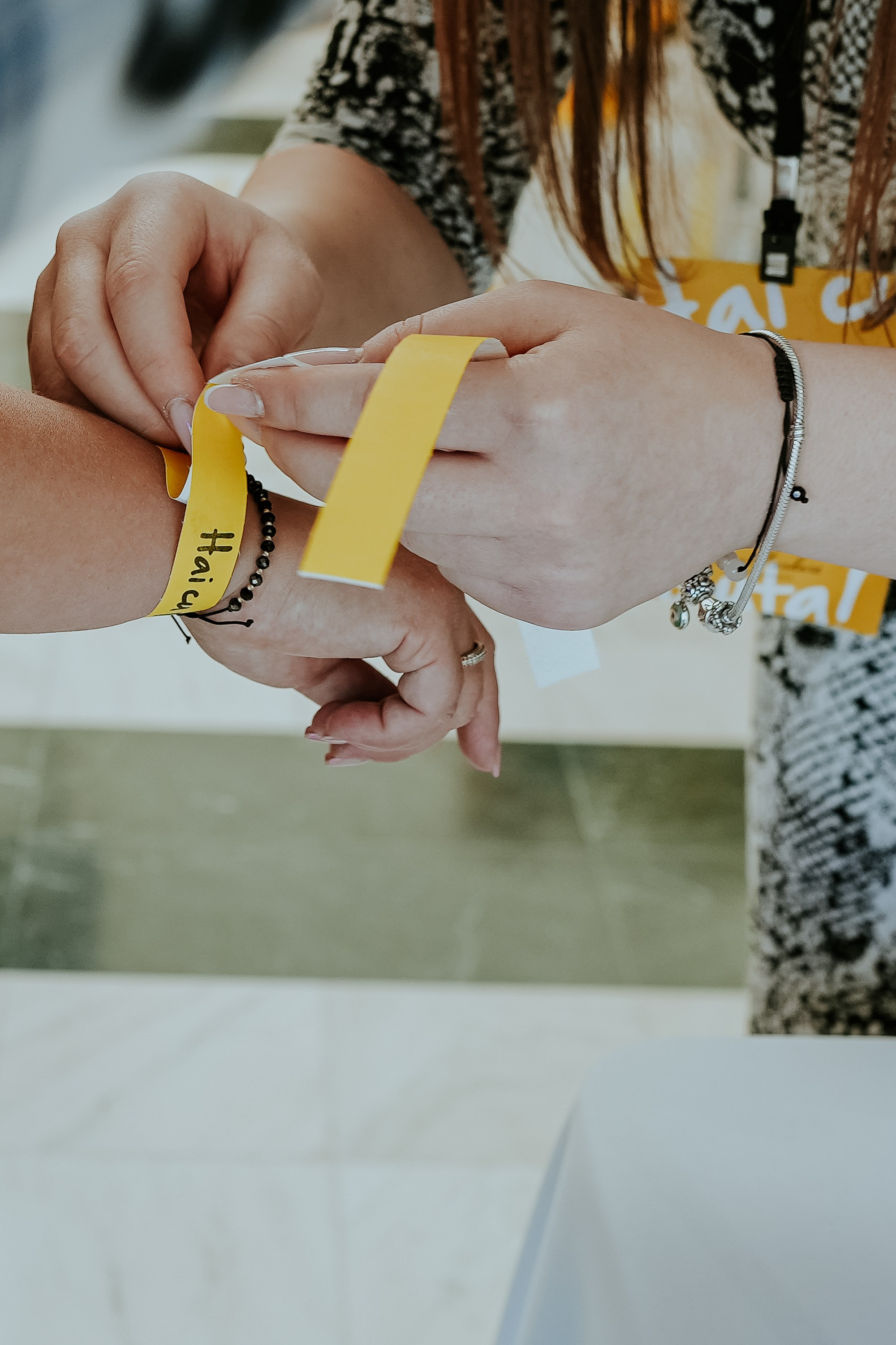 Hai cu Pluta — Wine Event. MARINABUGS