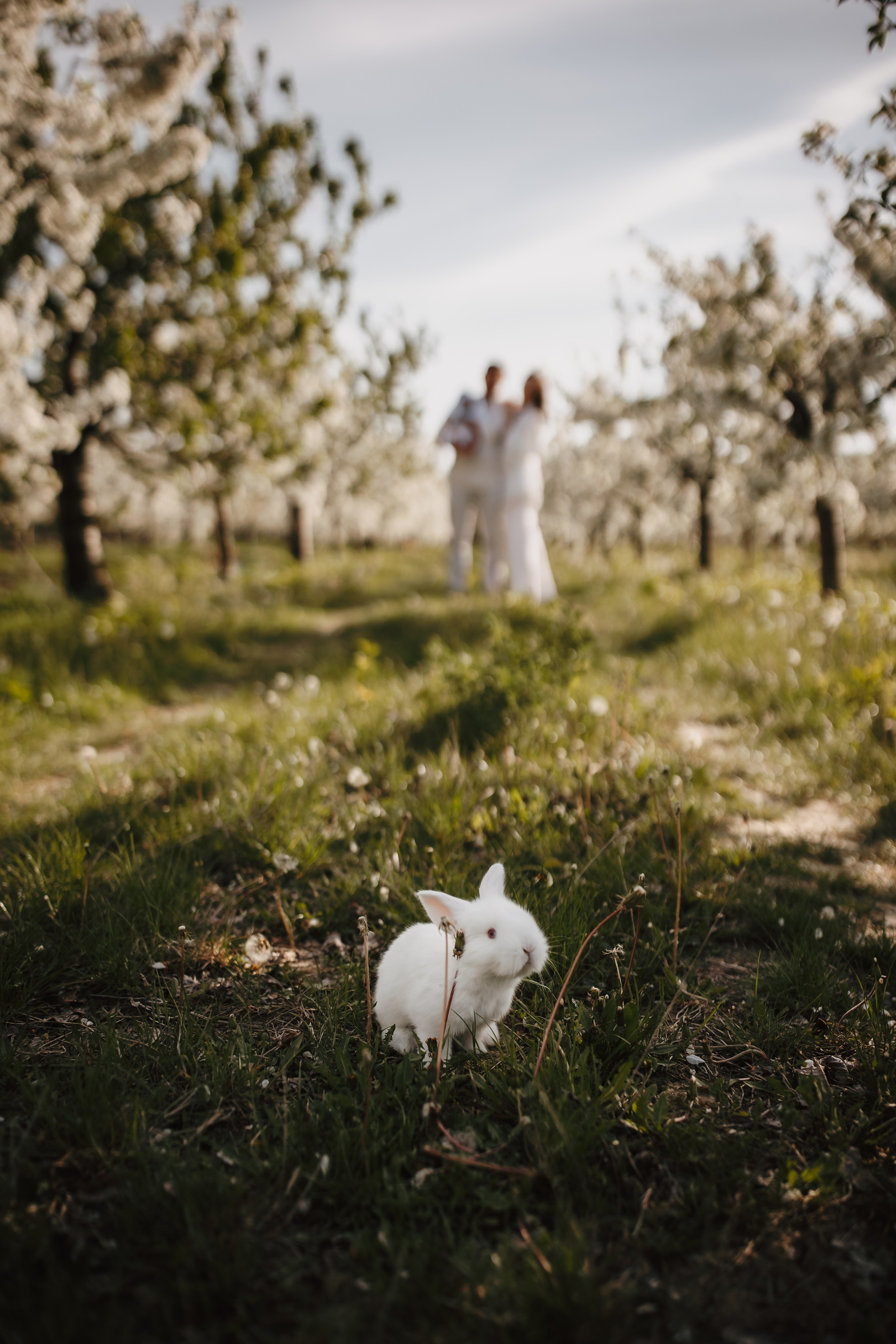 Primavara de poveste. Fotograf de eveniment din Buzău | Bogdan