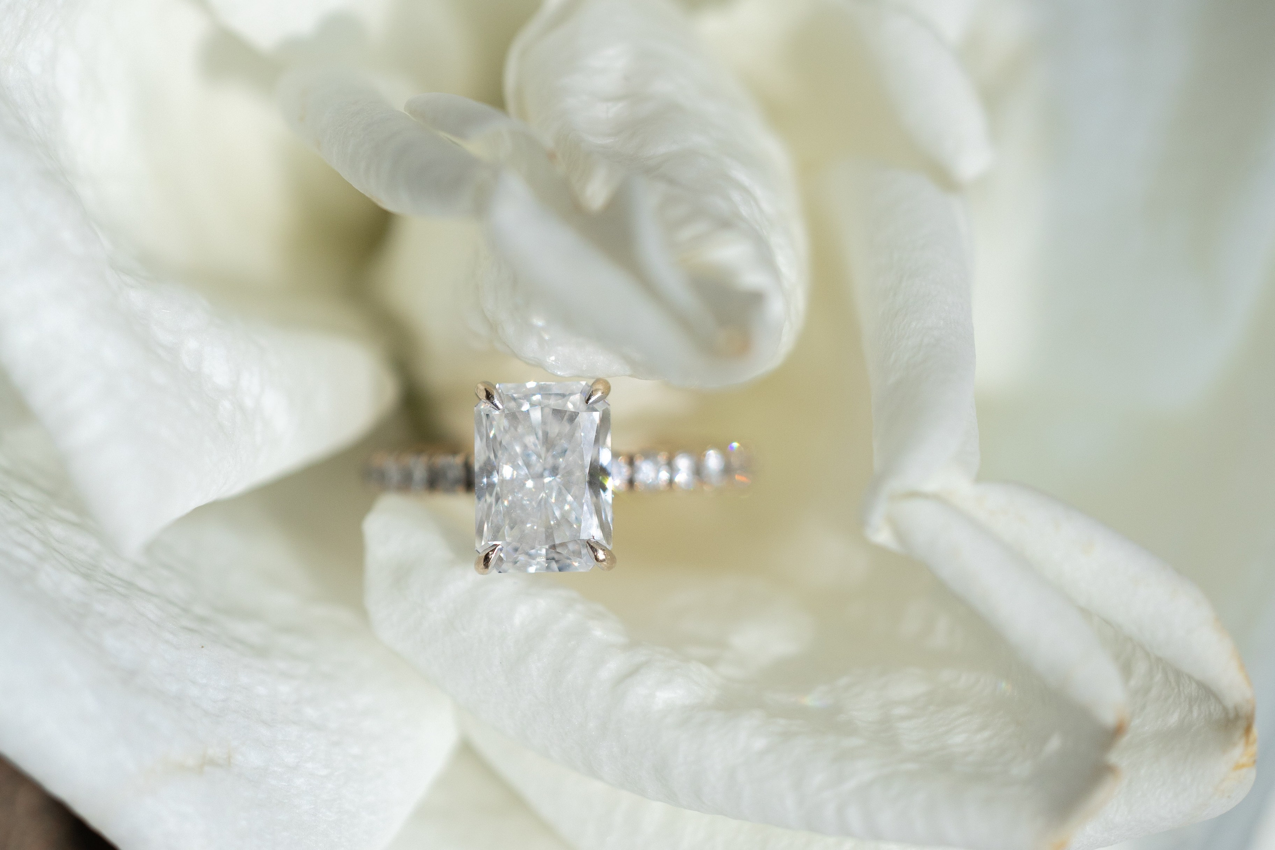 Erica & Vincent, The Estate at Florentine Garden, NJ. Wedding Photo & Video