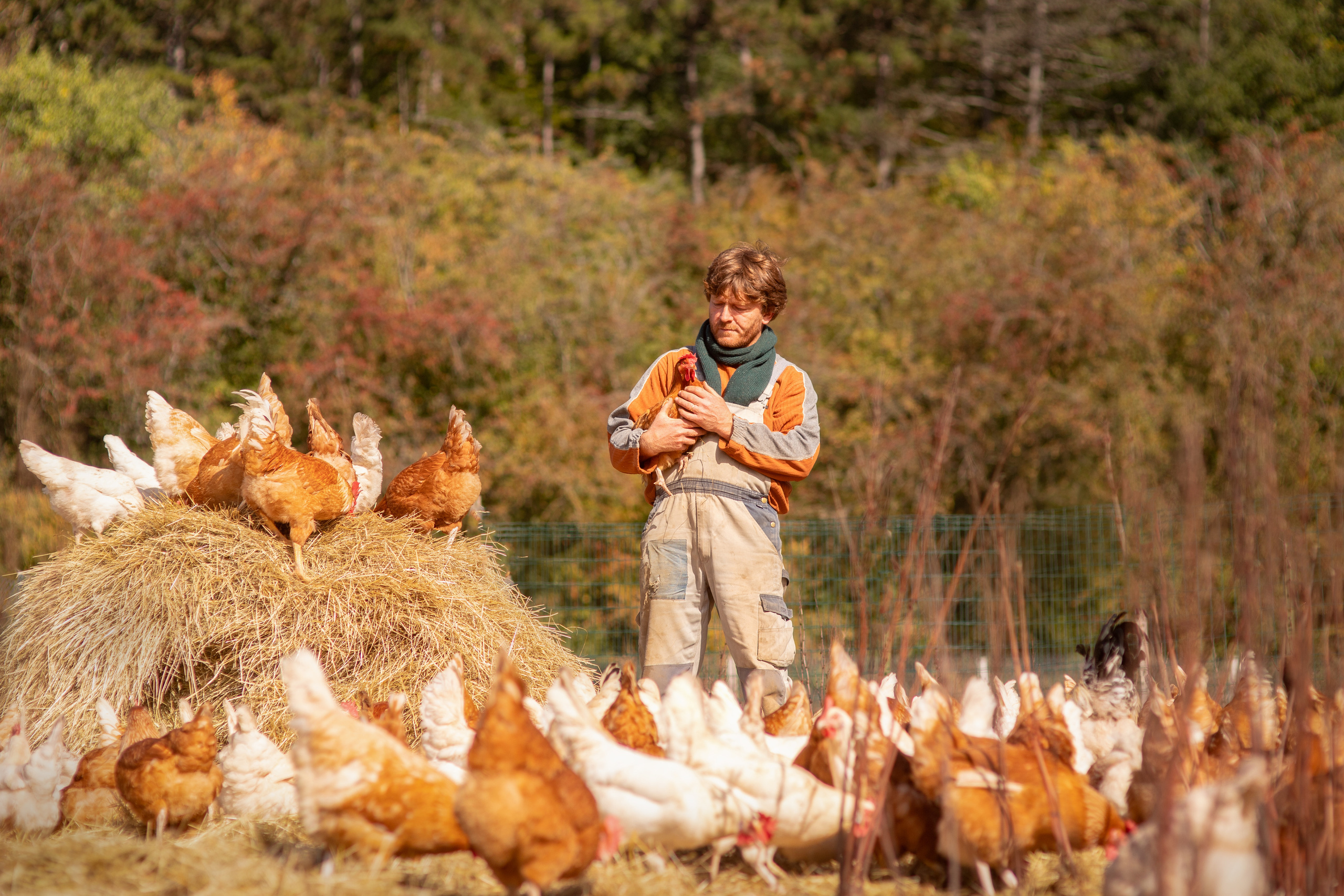 Projets créatifs. Fine Art photographer in Luxembourg Anastasia Arend