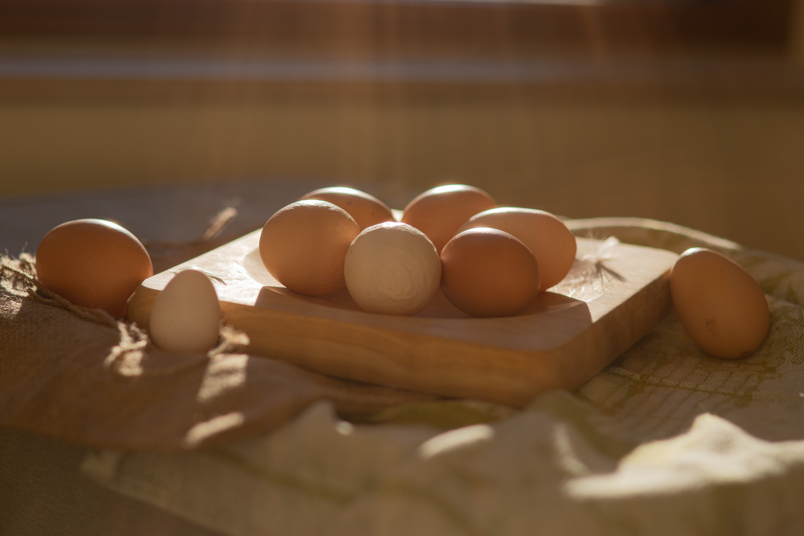 Projets créatifs. Fine Art photographer in Luxembourg Anastasia Arend