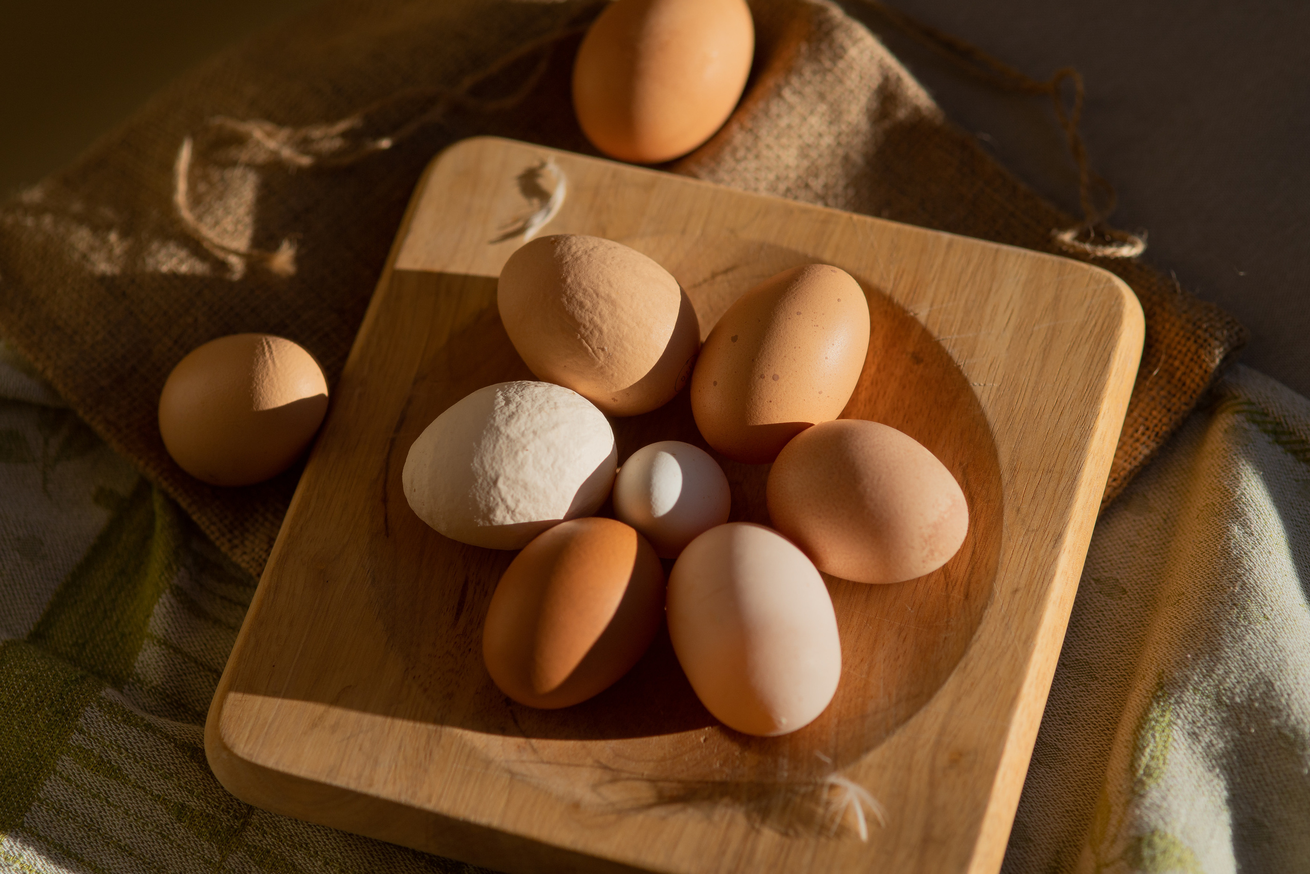 Projets créatifs. Fine Art photographer in Luxembourg Anastasia Arend