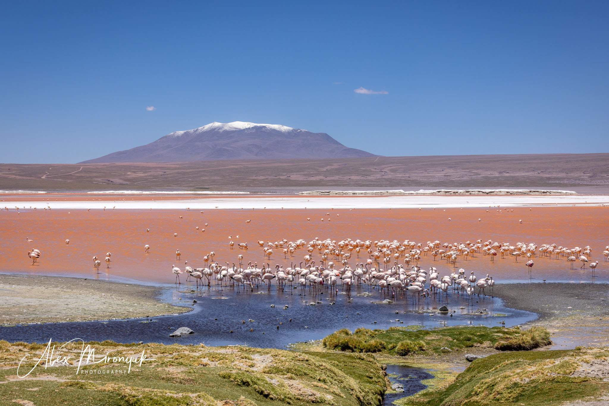 Bolivia Adventure — 2025. Pet, Senior, Landscape, portrait studio, photographer in Miami and Sou