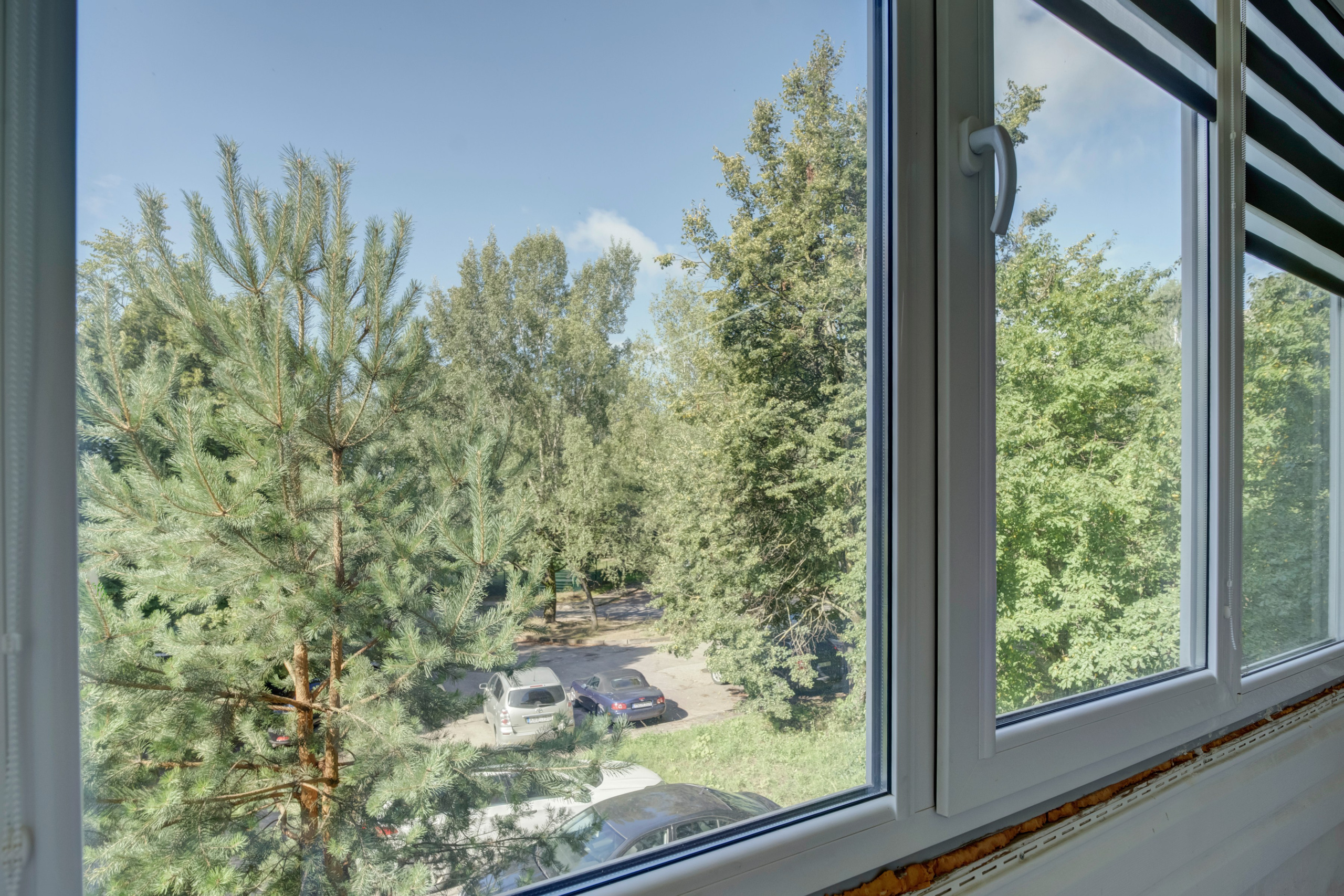 Gabijos g. Elina Sapiega fotografė Vilniuje