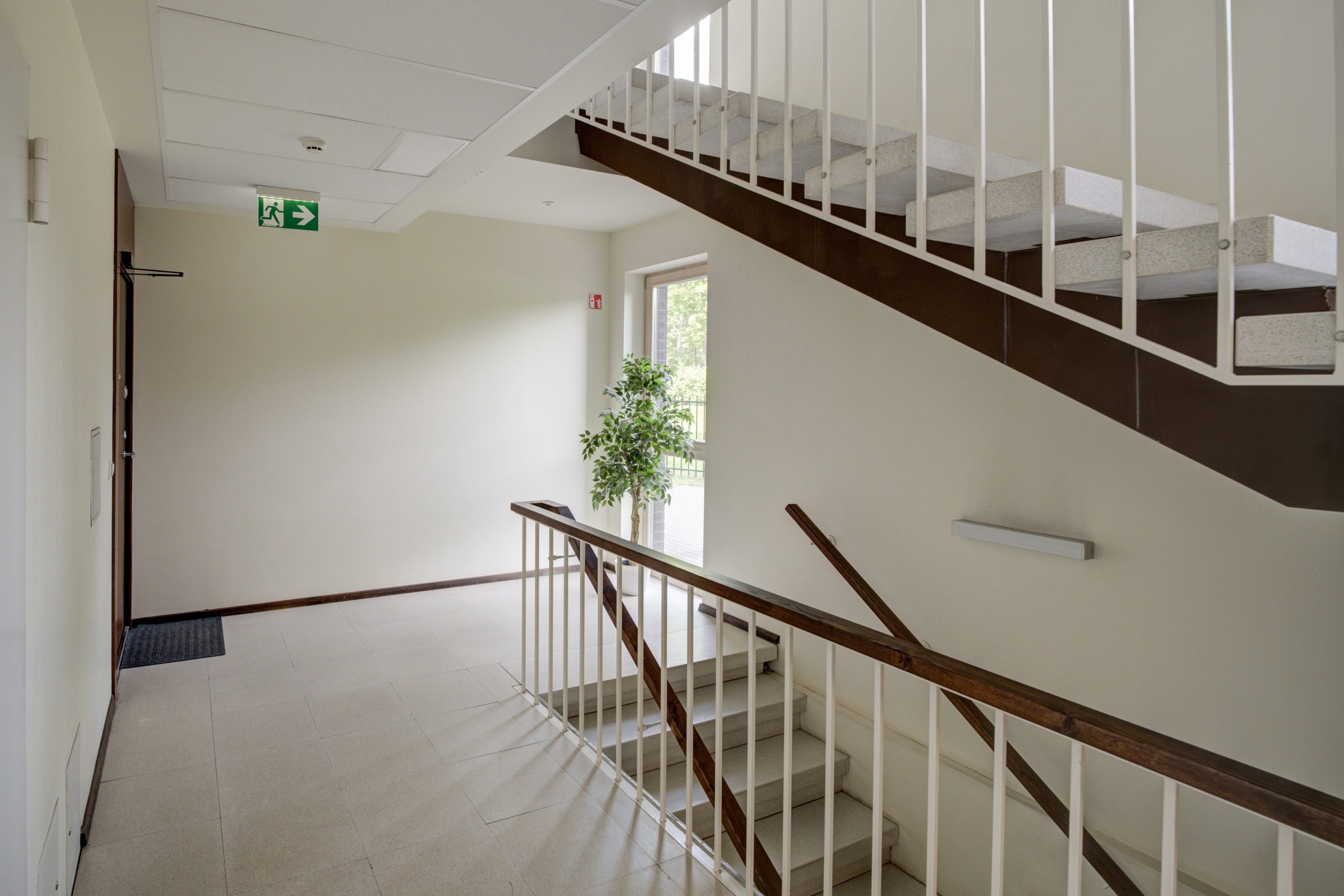 Danielių g. 6. Elina Sapiega fotografė Vilniuje