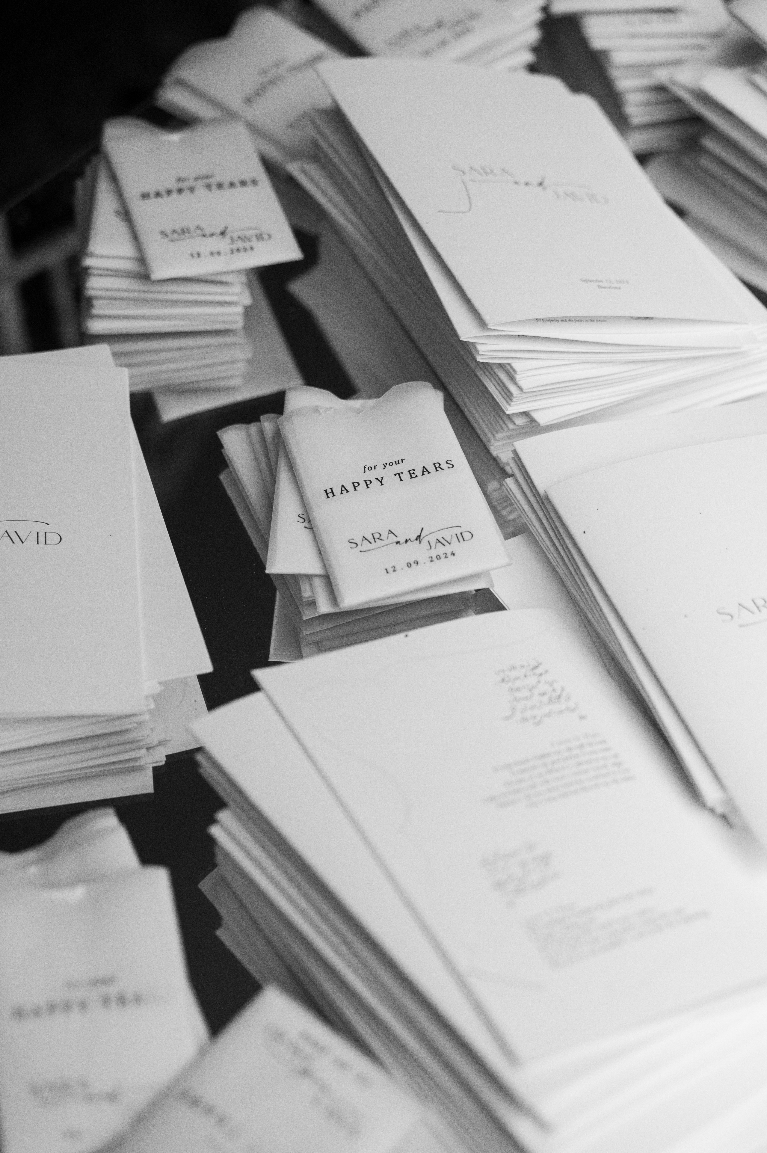 Sara & Javid. Wedding photographer in Spain