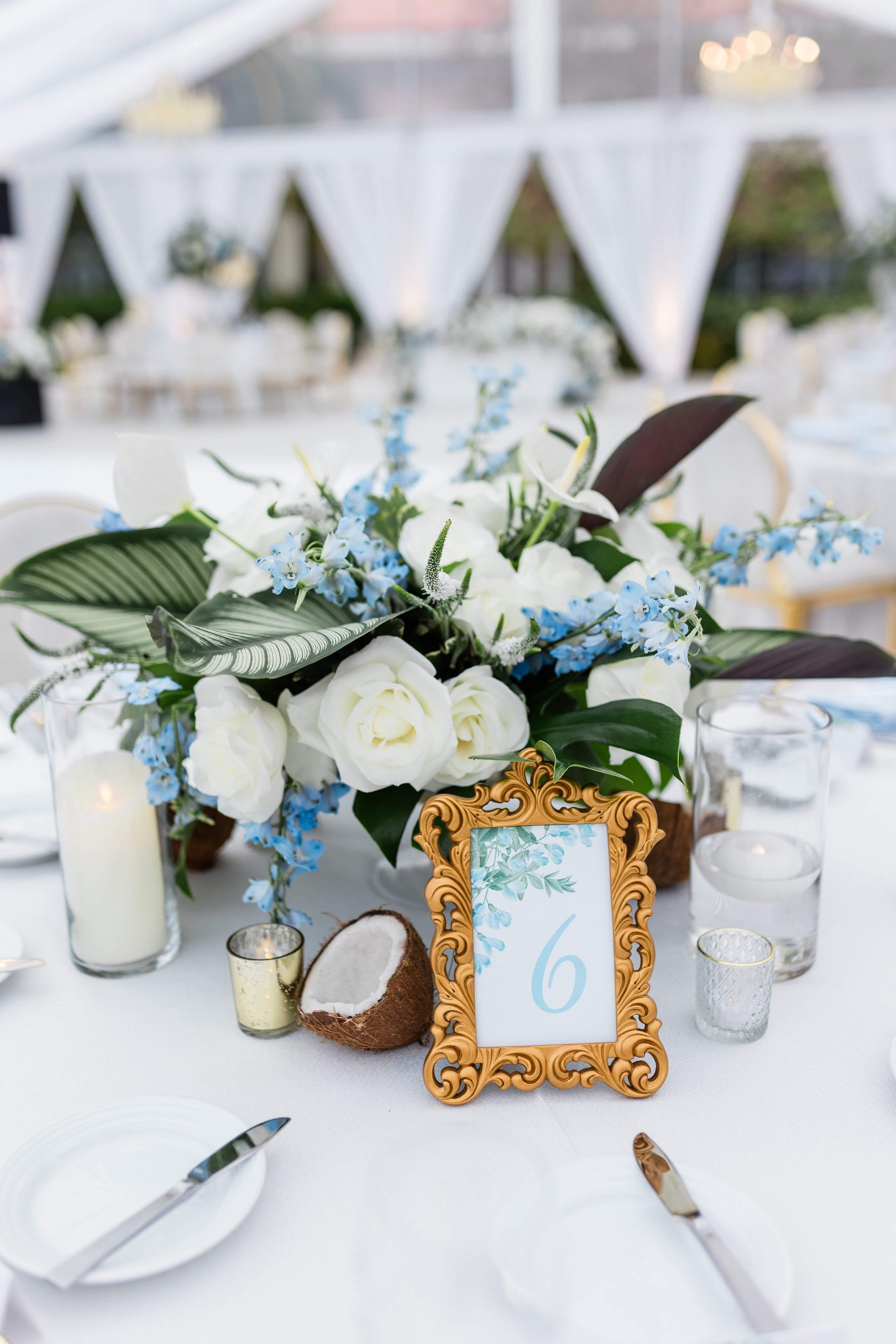 Diana and Filippe Bahamas Wedding. Family and Event photographer in Homestead and Miami areas of Florida