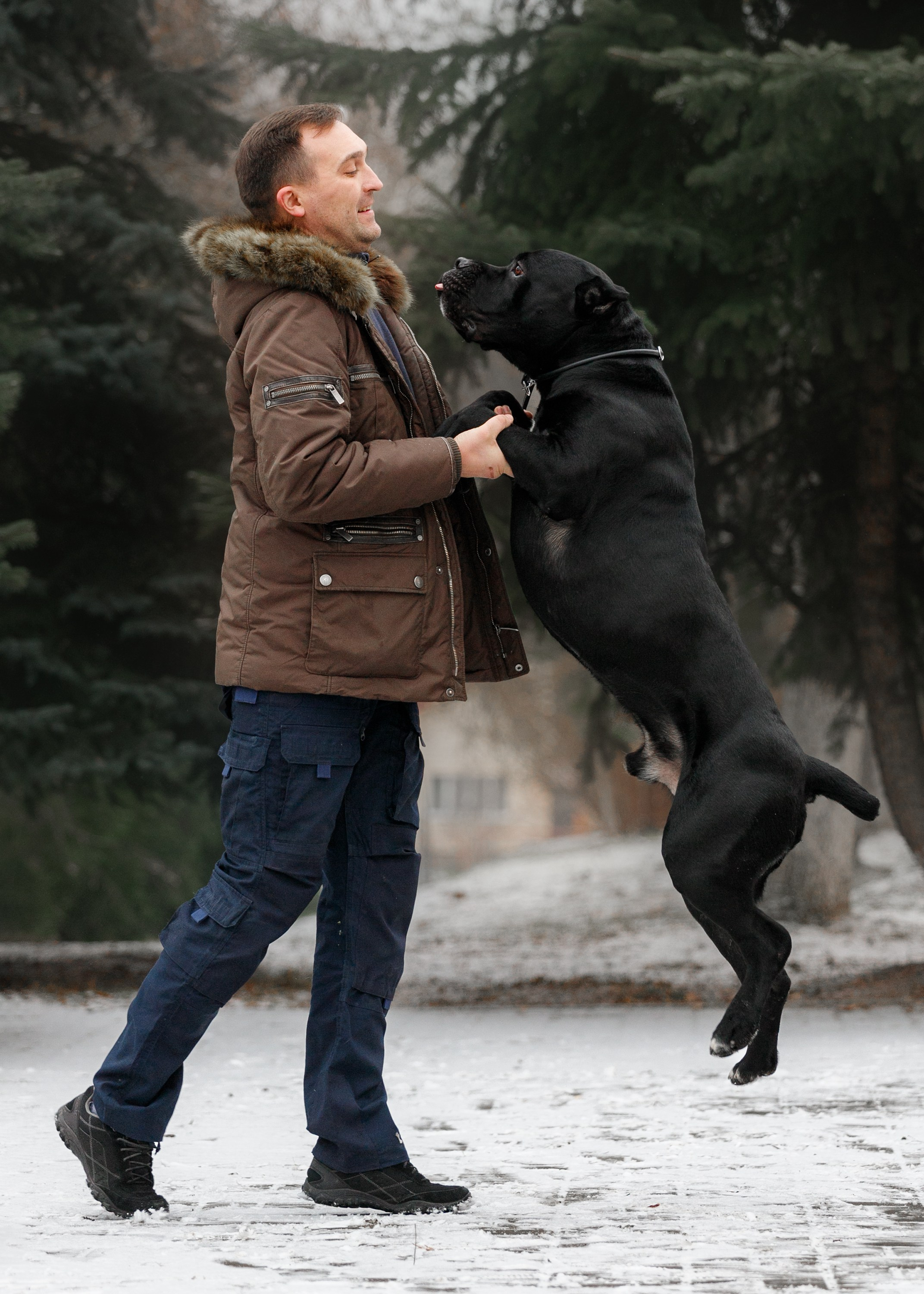 Dog shows | the best ones. Kaja | fotograf psów we Wrocławiu