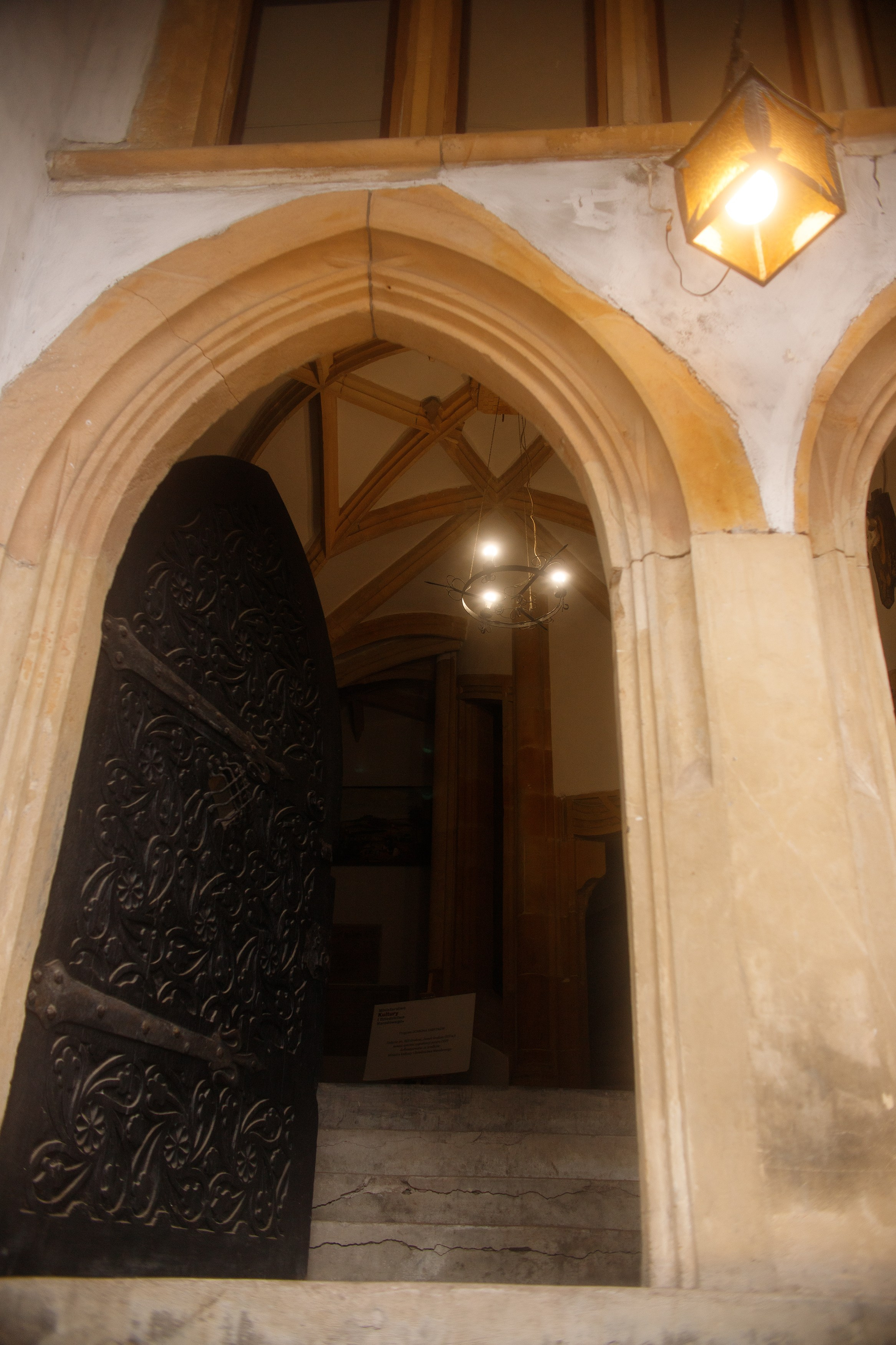 Zamek Grodziec. Kaja | fotograf psów we Wrocławiu