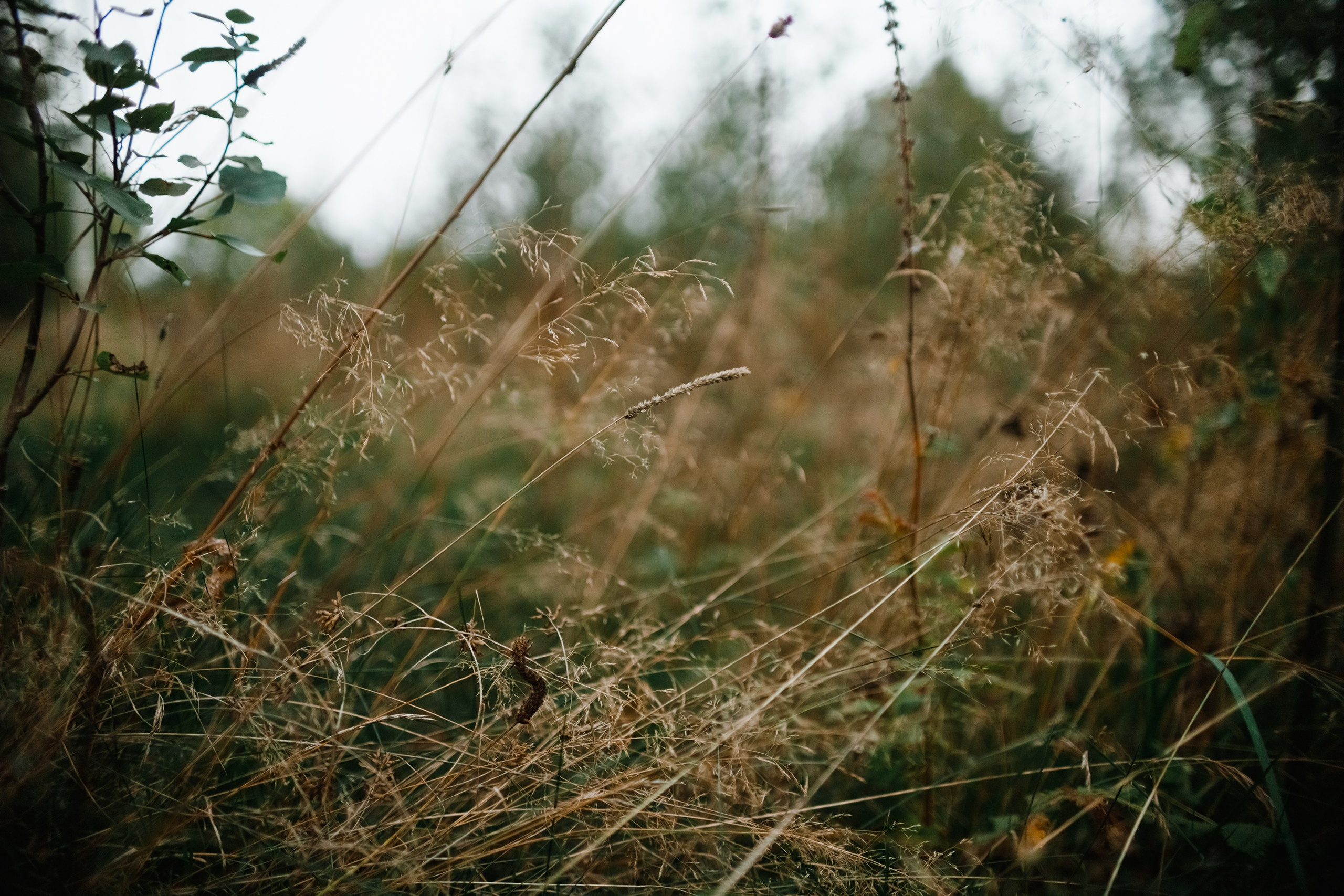 One small village in Grodno region. Kaja | fotograf we Wrocławiu | ludzie i psy