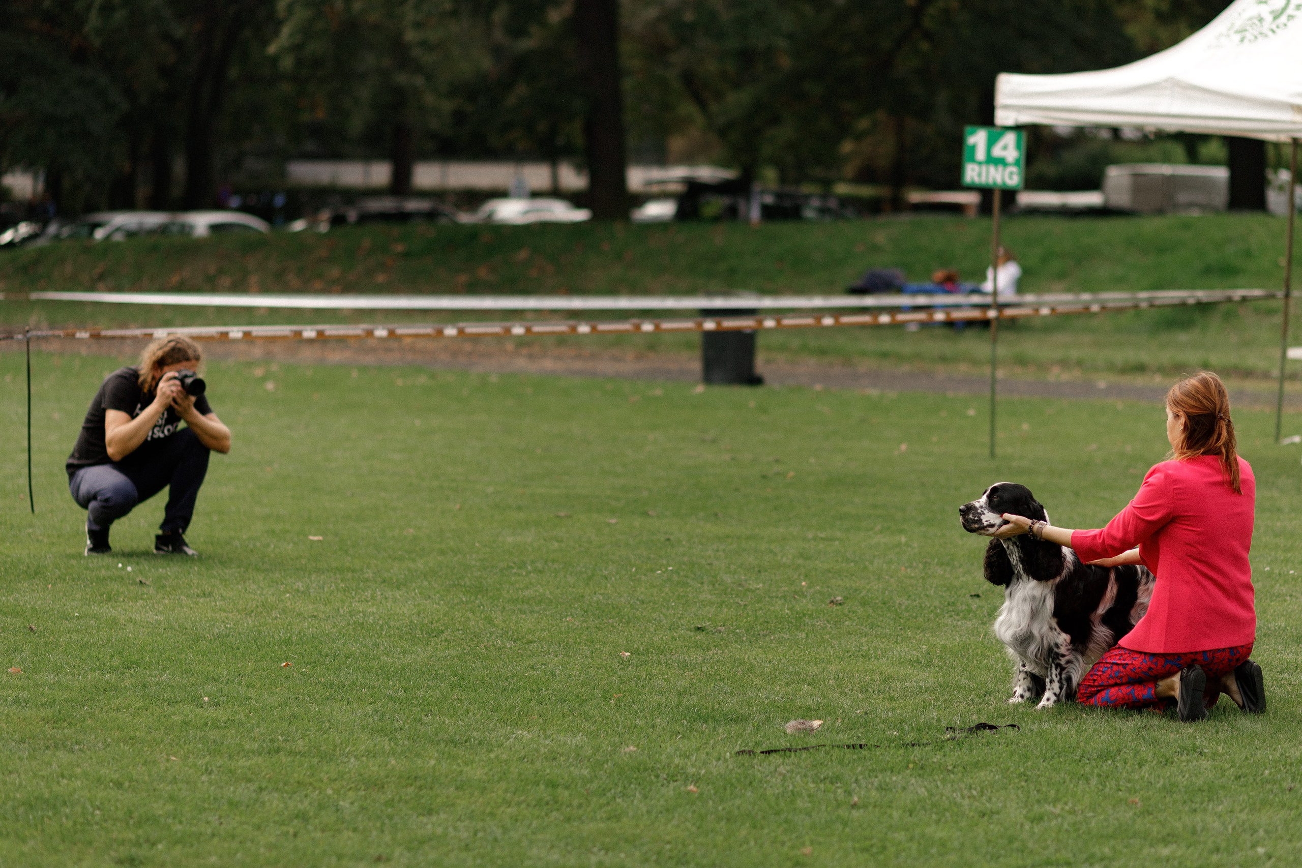 Dog shows | the best ones. Kaja | fotograf psów we Wrocławiu