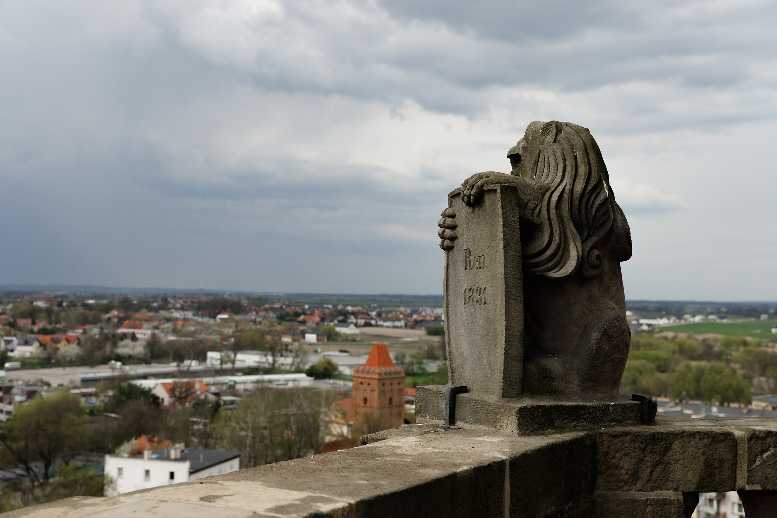 Oleśnica castle. Kaja | fotograf psów we Wrocławiu