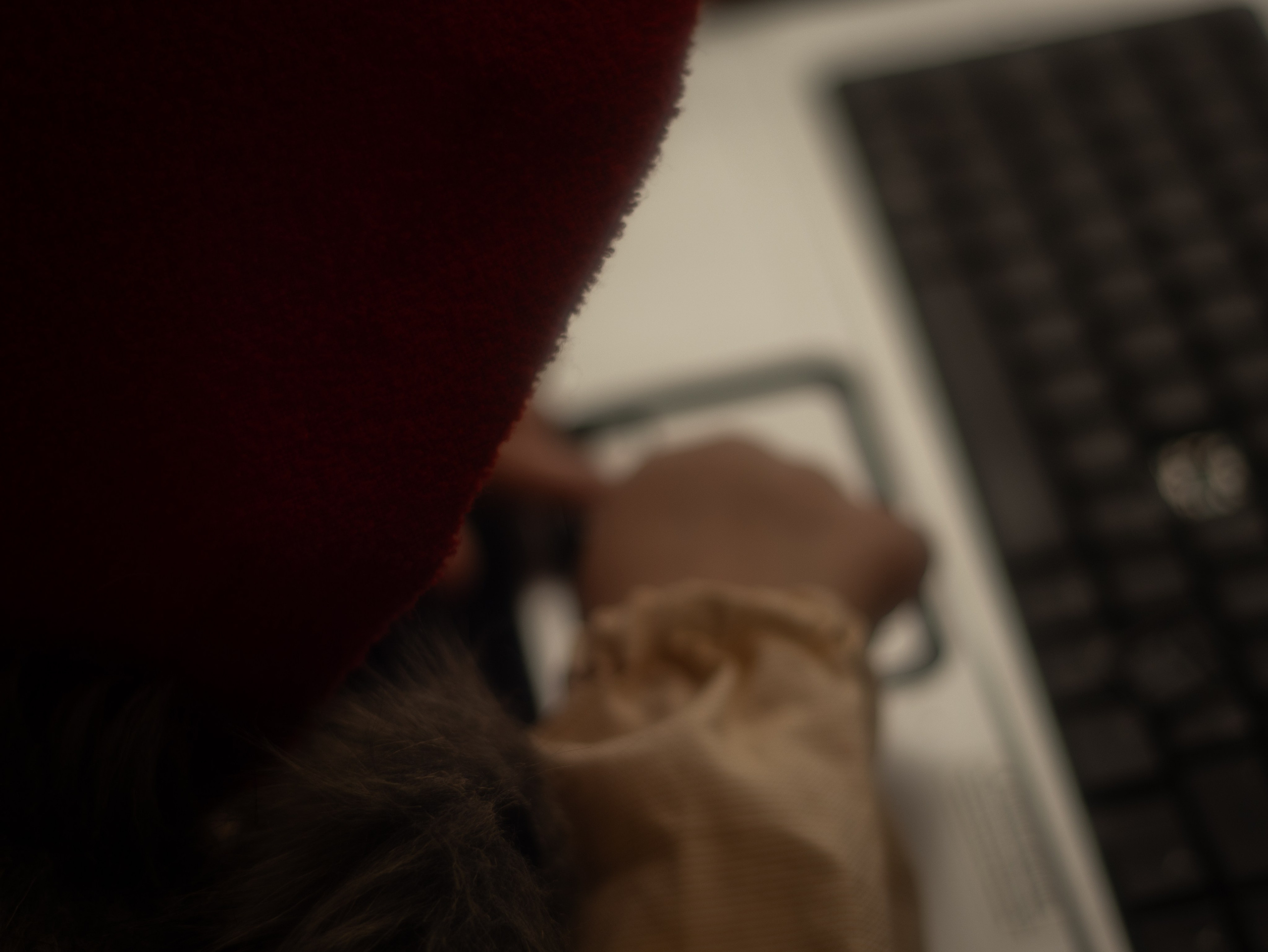 New Little Red Riding Hood. Toronto Portrait Photographer Lena Lac