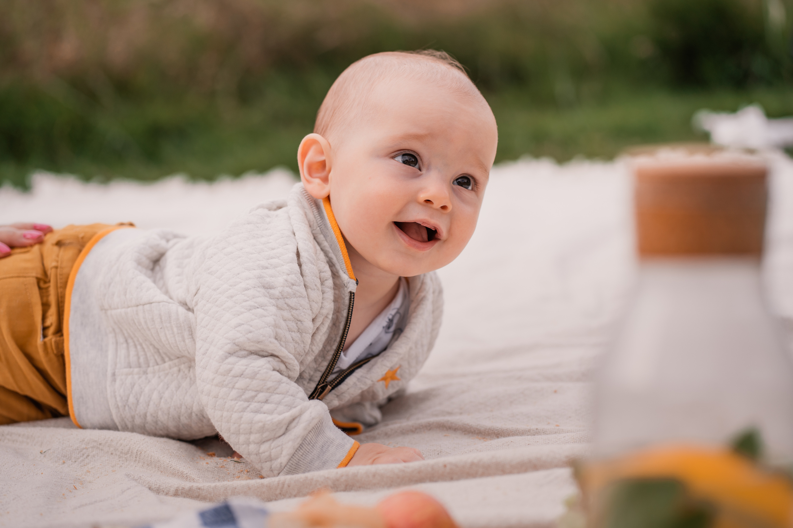 Family Picnic. Portrait, Family and Maternity Photographer in Dublin Tania Vaskul