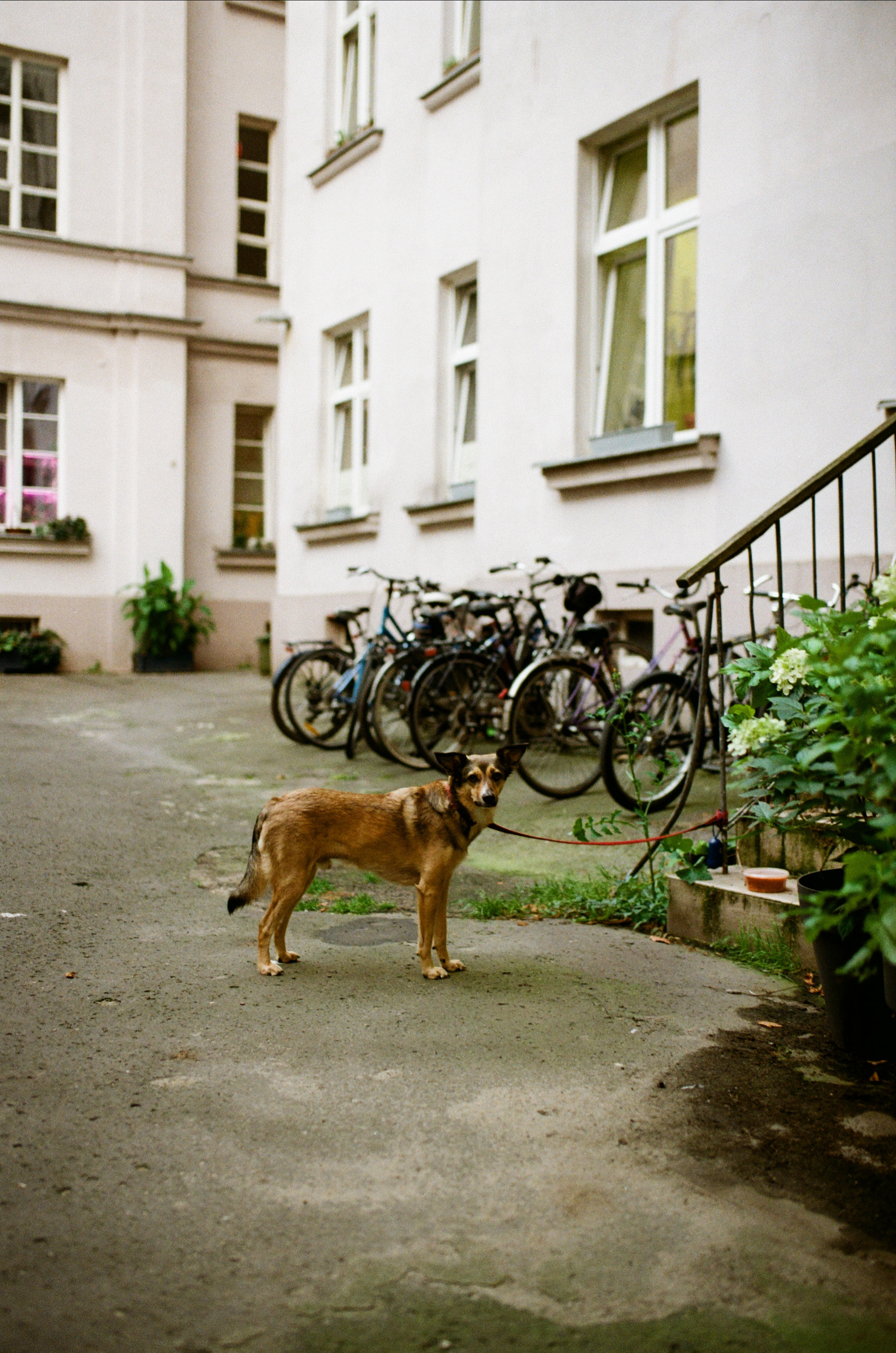 Street. VeloKoza fotografia ślubna Łódź