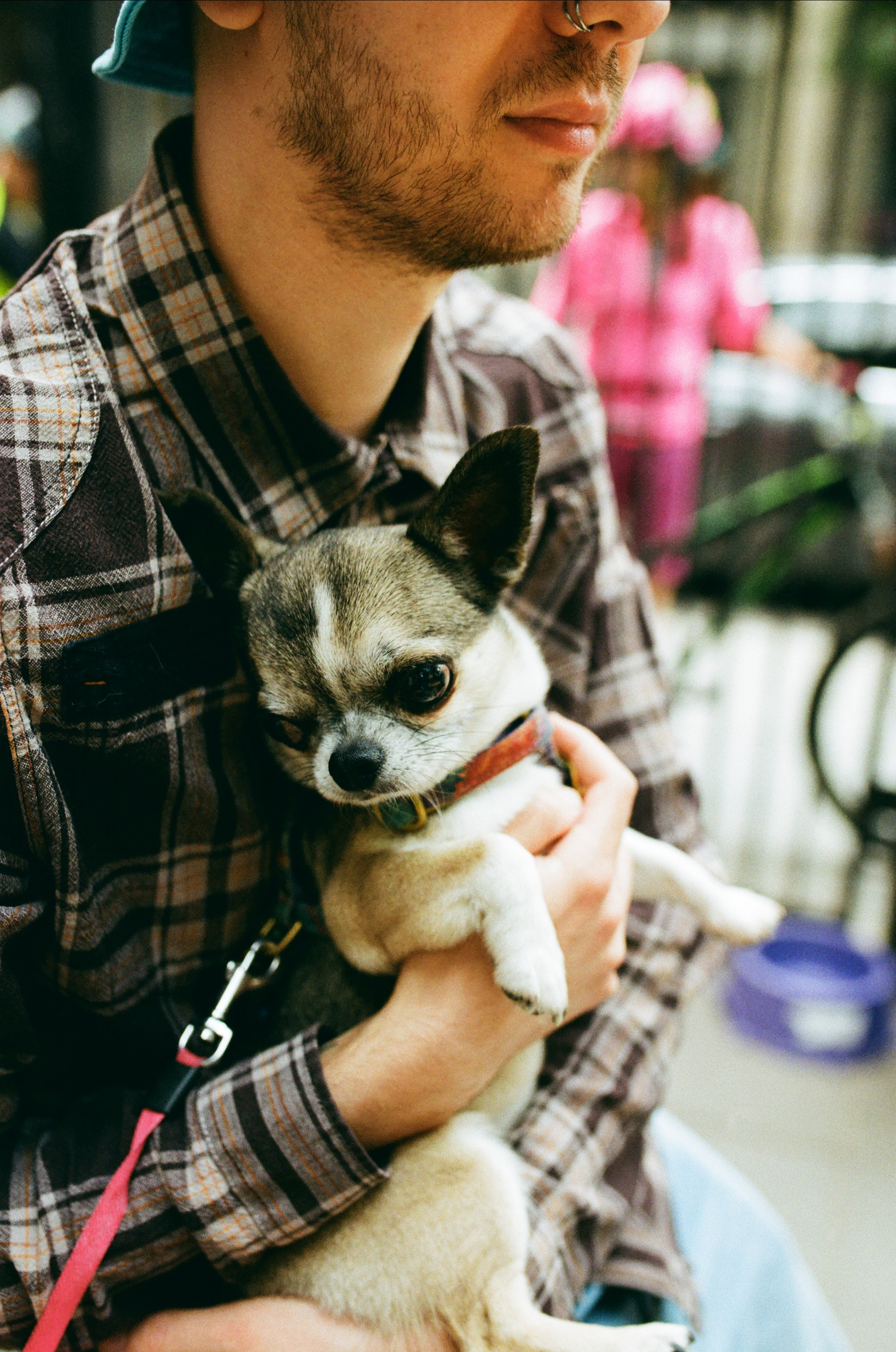 Street. VeloKoza fotografia ślubna Łódź