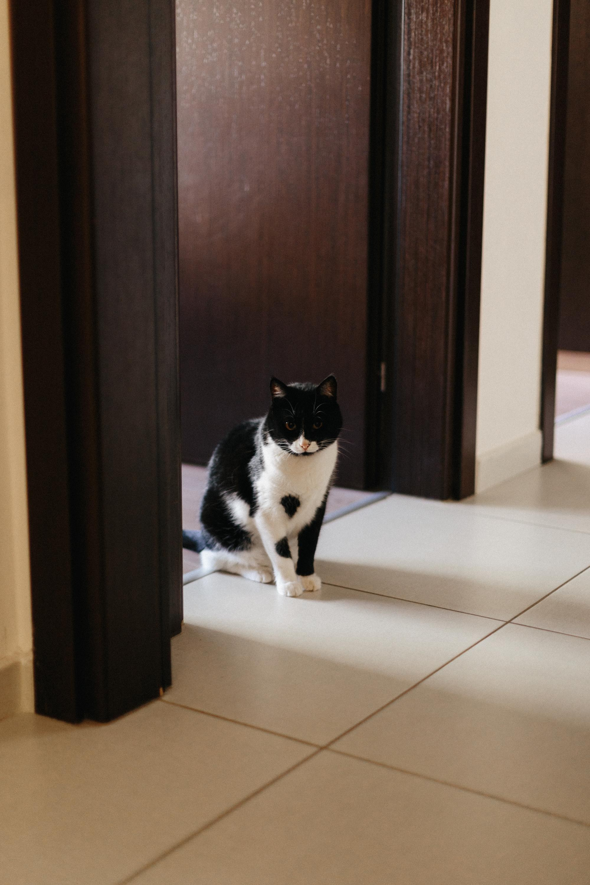 G, G & P❤️. Family and business portrait’s photographer in Cyprus