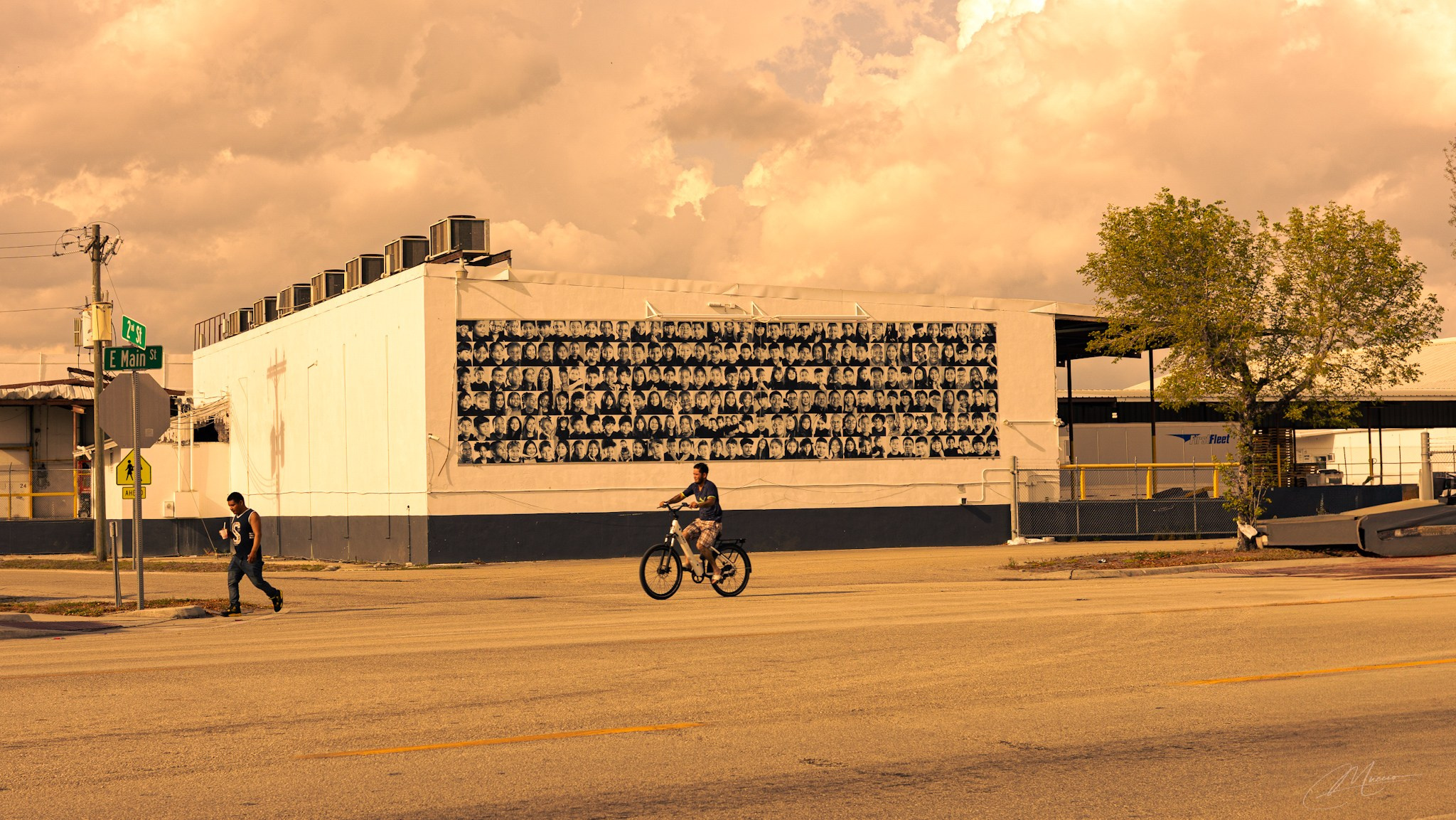 Americana — Immokolee. Out and About 239