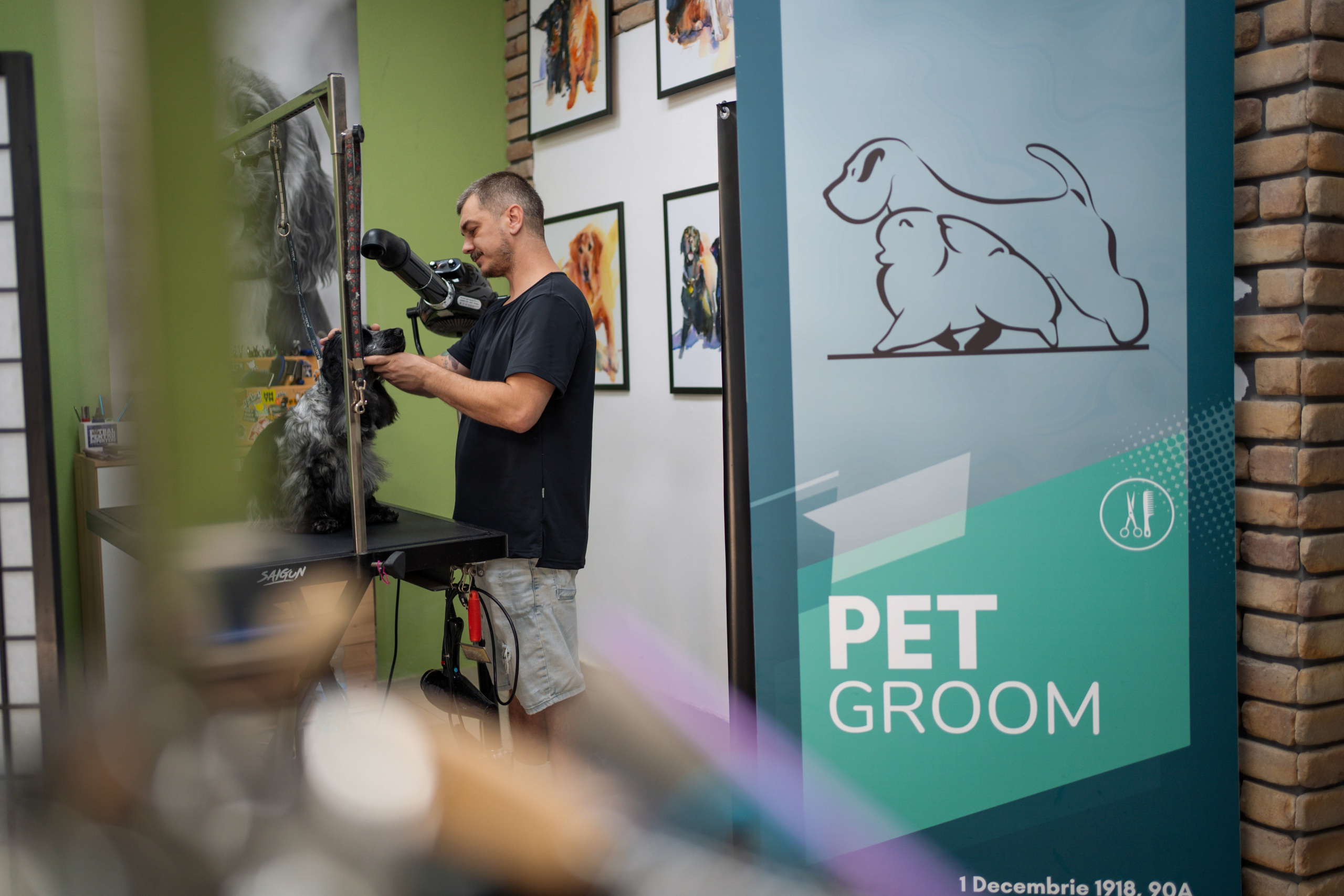 PetGroom Timisoara. Cozac Cristian Photographer