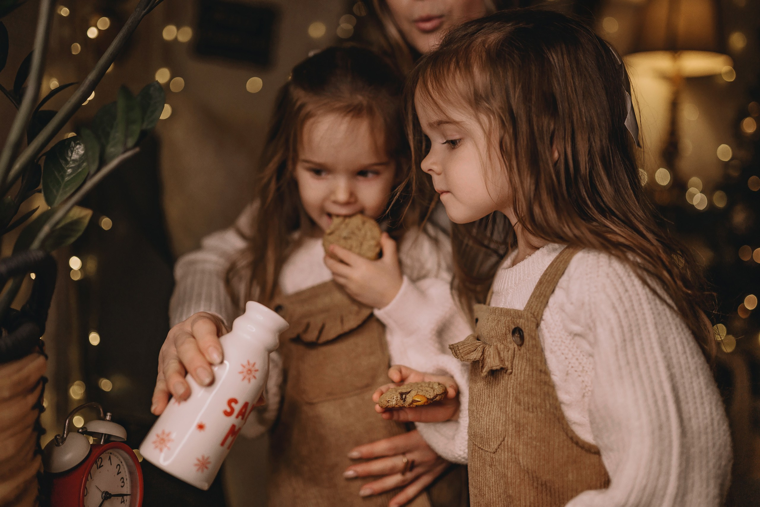 11.26.2025 Christmas Photoshoot. Wedding family event photographer in Chicago Nick Yushevich