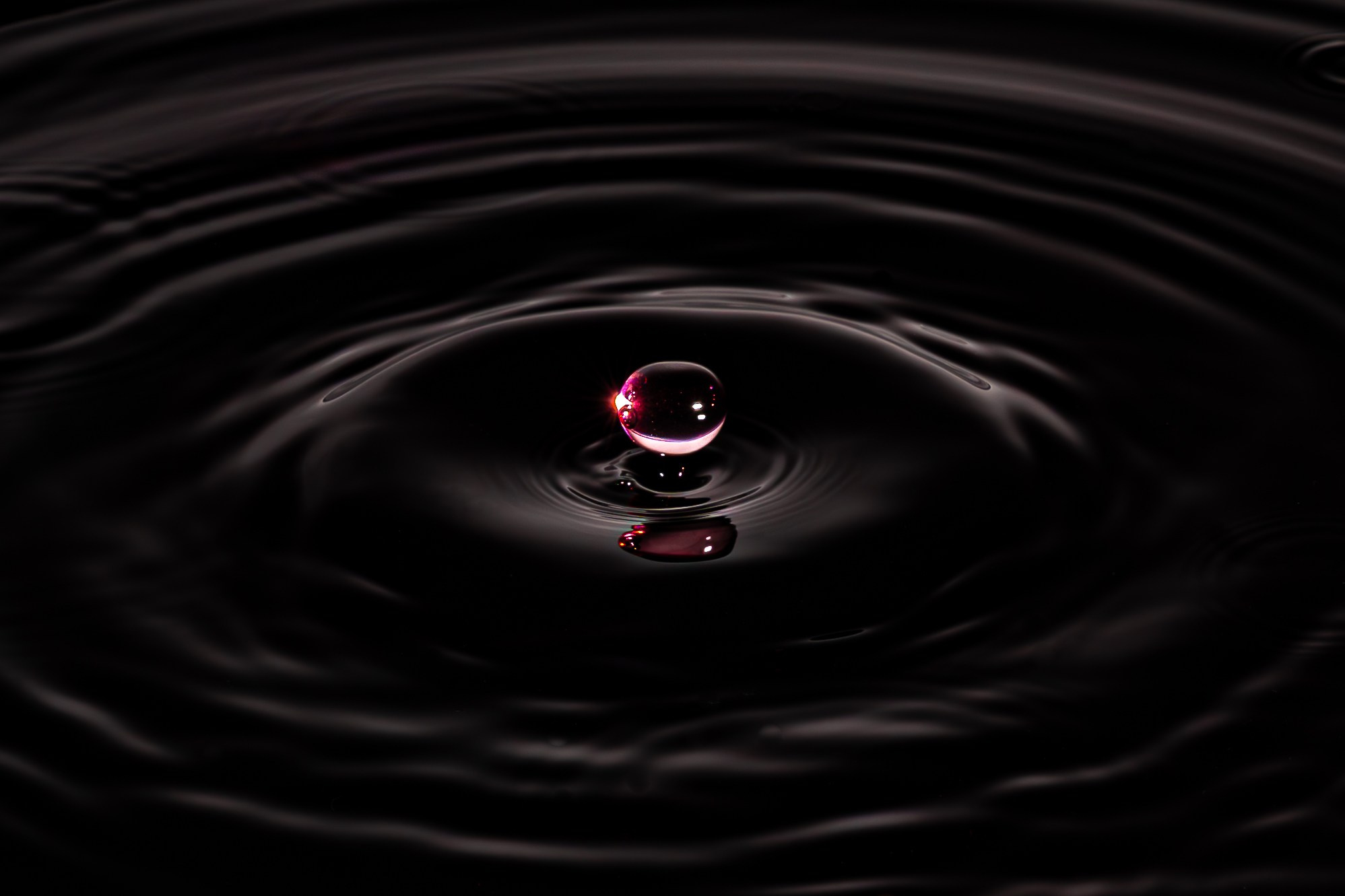 Fotografie produs & mancare. Fotograf și Videograf Nuntă & Evenimente | Pixtory - Constanta