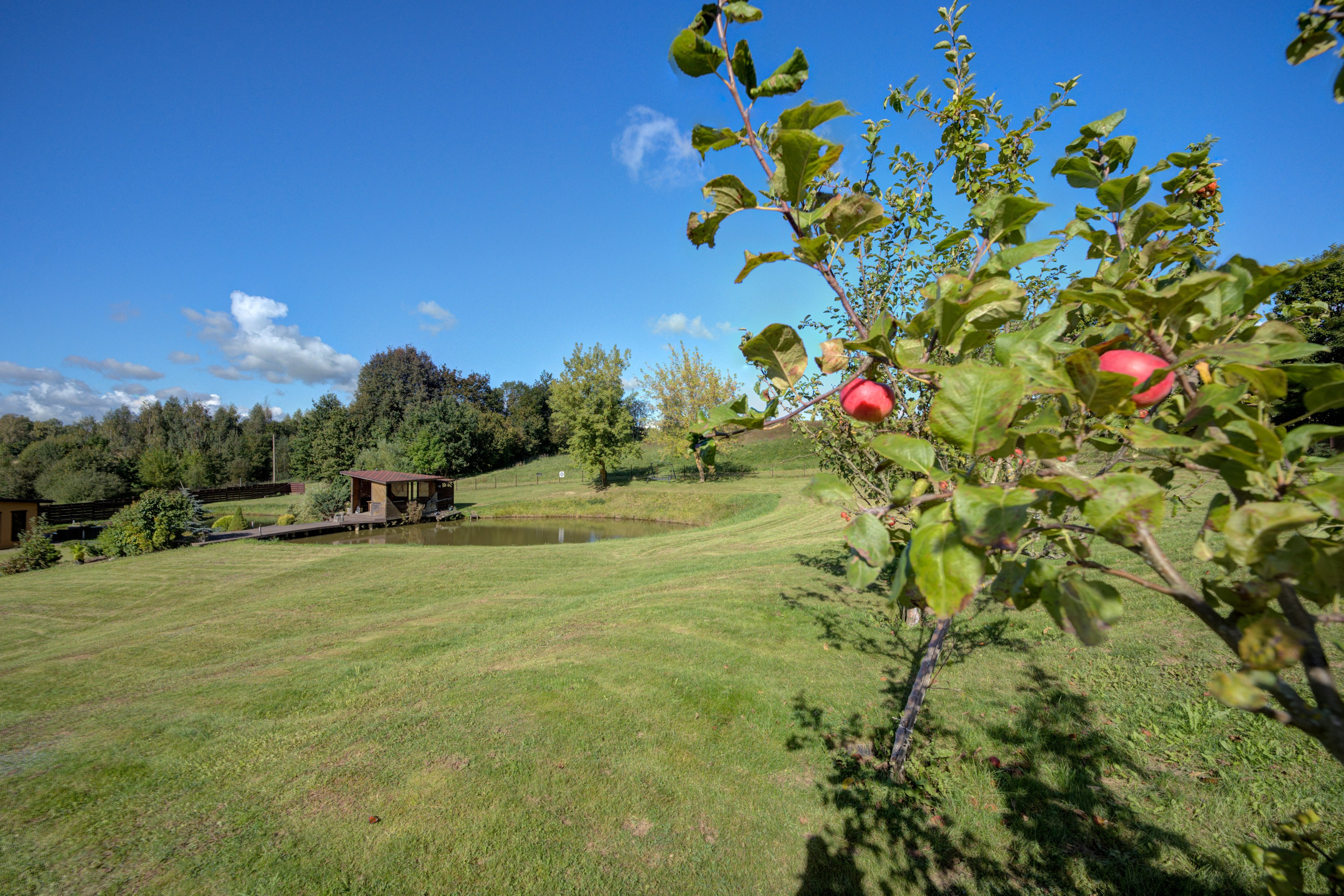 Sadyba Vinliaus r. prie ežero. Elina Sapiega fotografė Vilniuje