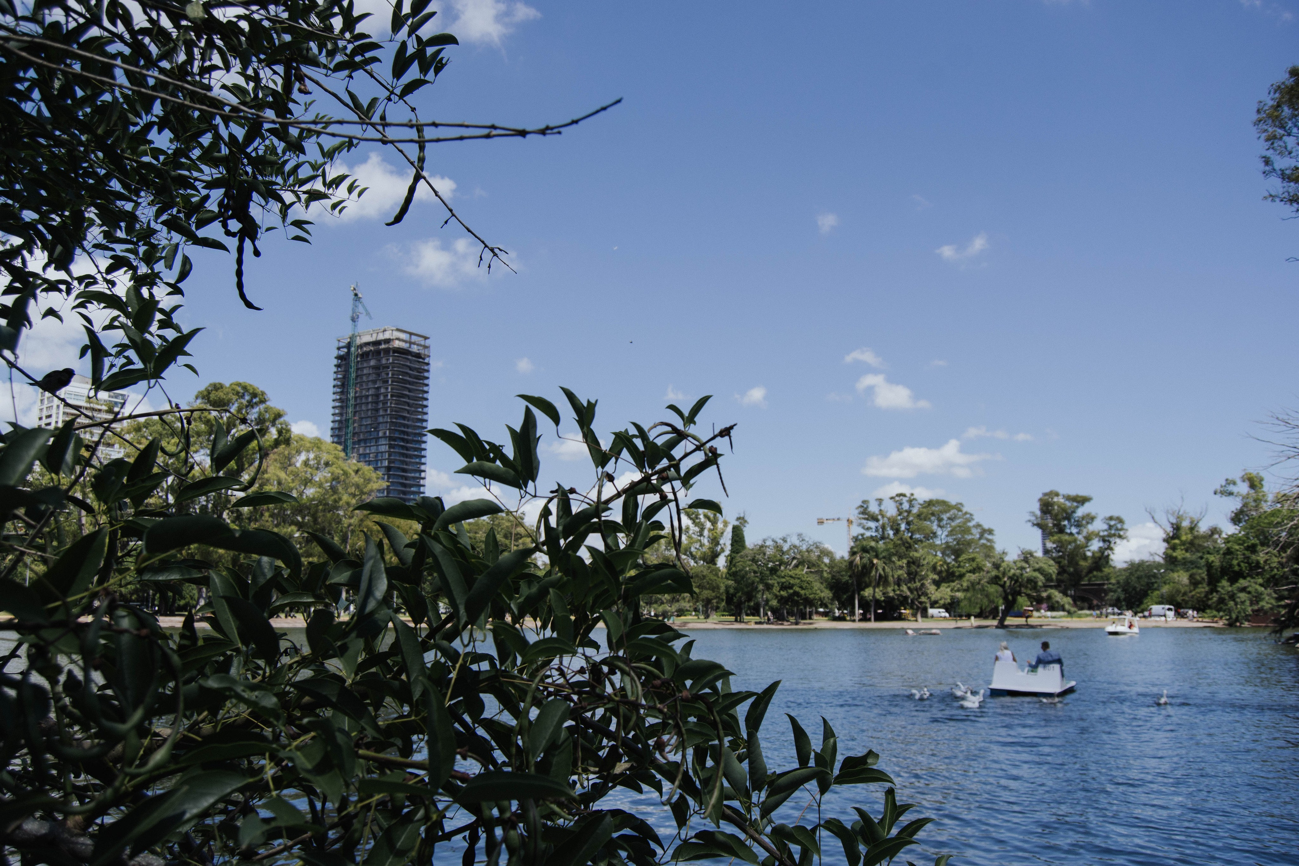 Wedding. Reportage shoots in Buenos Aires. Photographer @elmirkami in the city of Buenos Aires