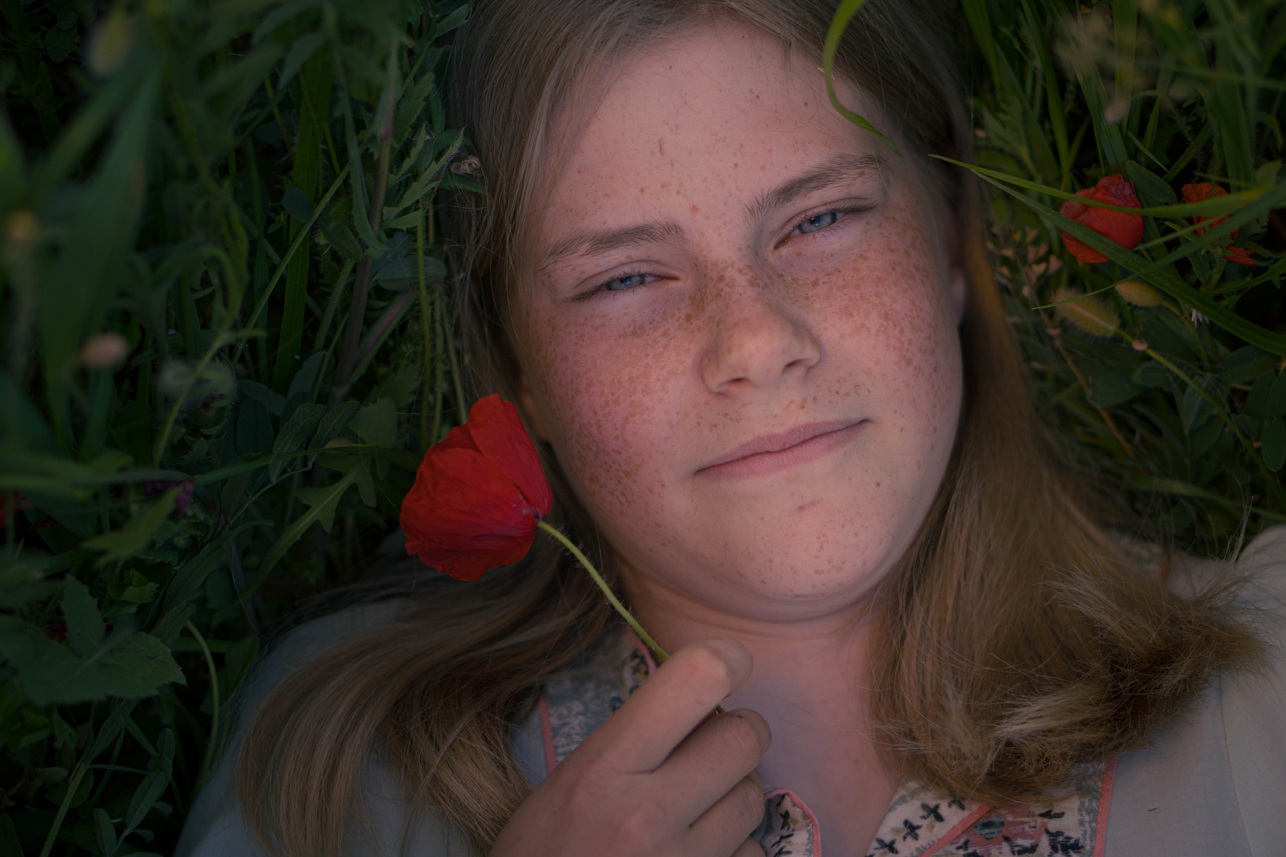 Agnia & Amapolas. Alba del Norte Studio