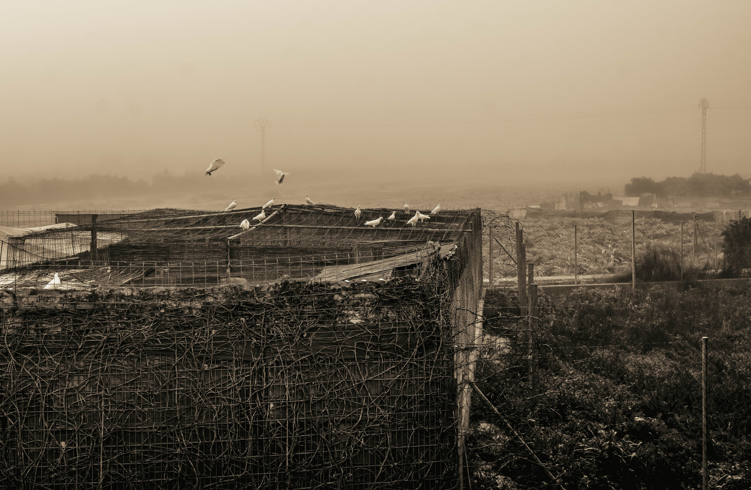 Rojales. Alba del Norte Studio