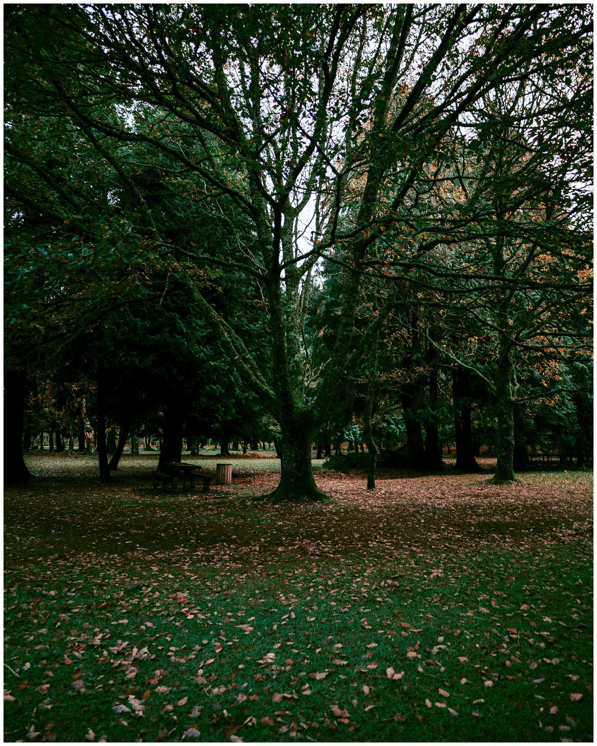 IRELAND. Inna Mendelson — Photographer