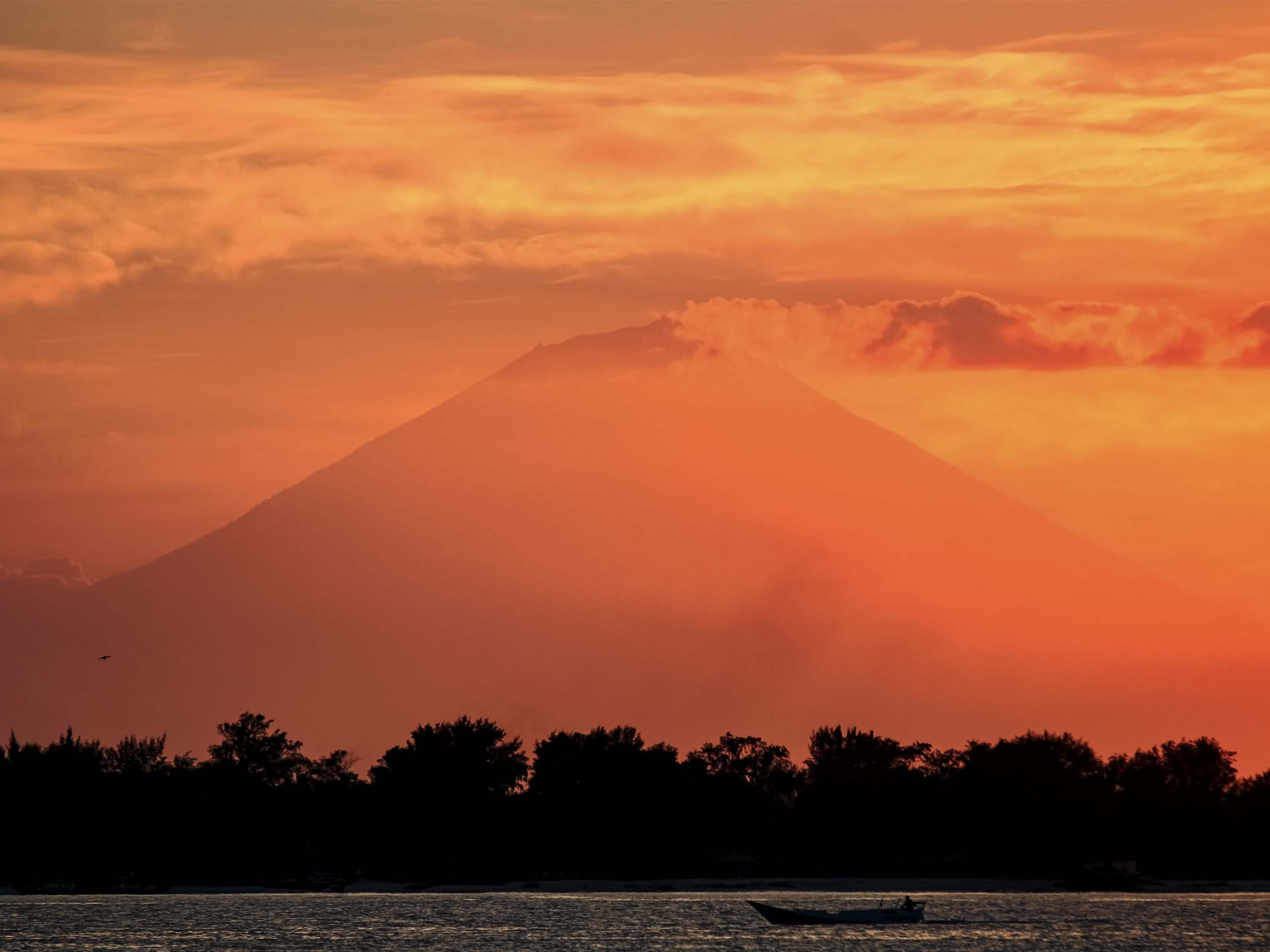 NATURE. Tuletorn Films | Film production company | Estonia