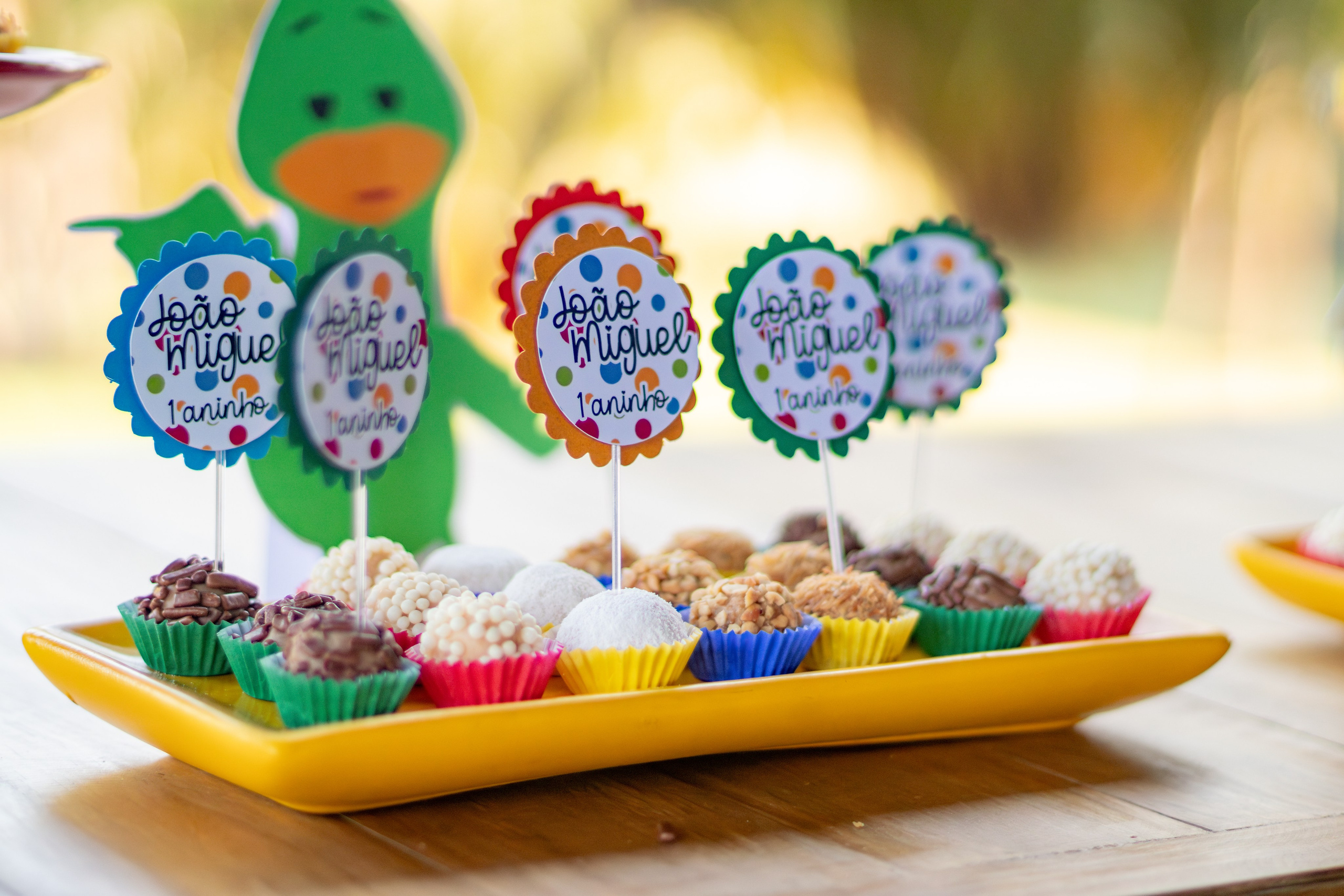 João Miguel — Aniversário 1 ano. Principal