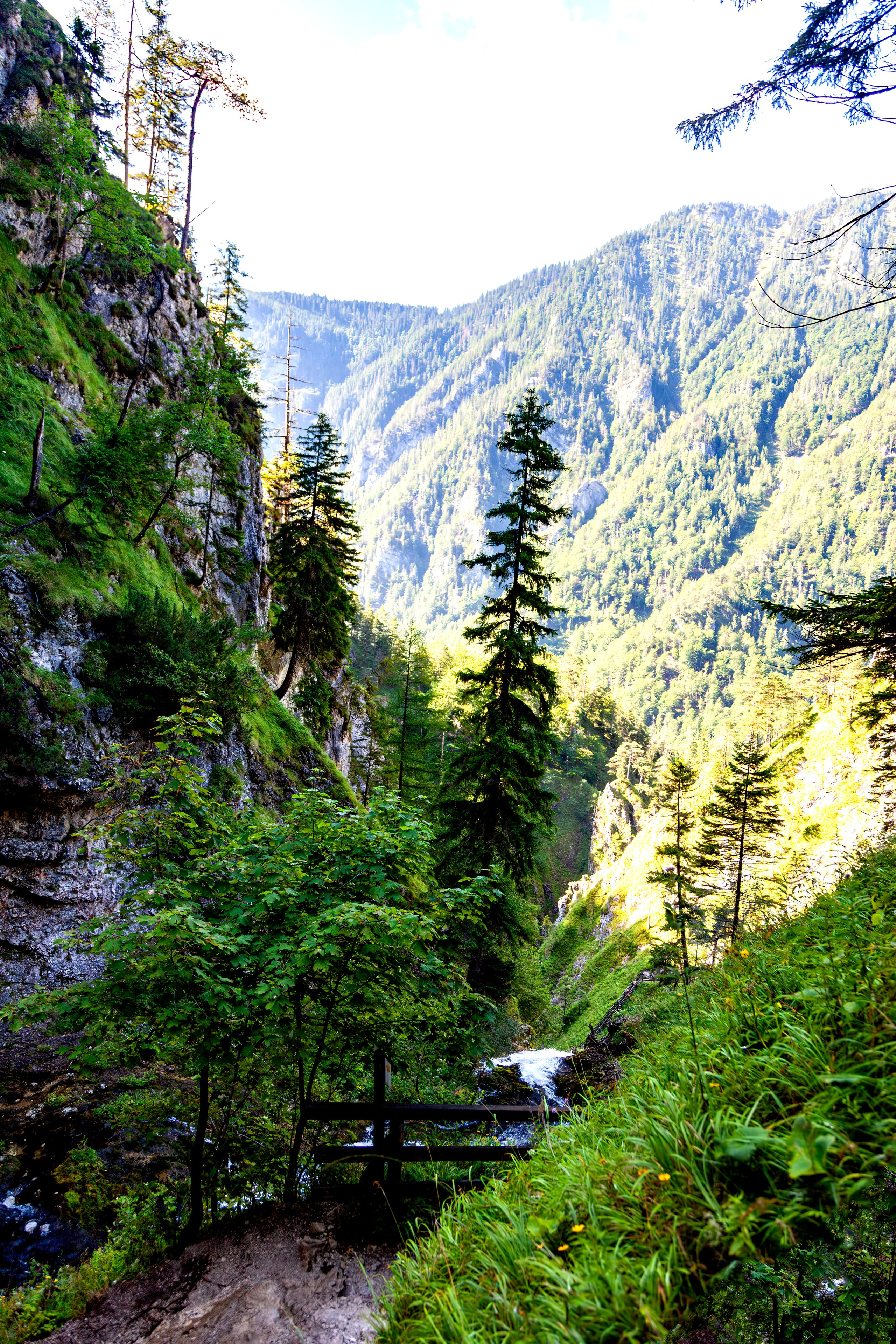 193.Wasserloch Klamm.Palfau.18.8.2025. Путешествия в формате 360......