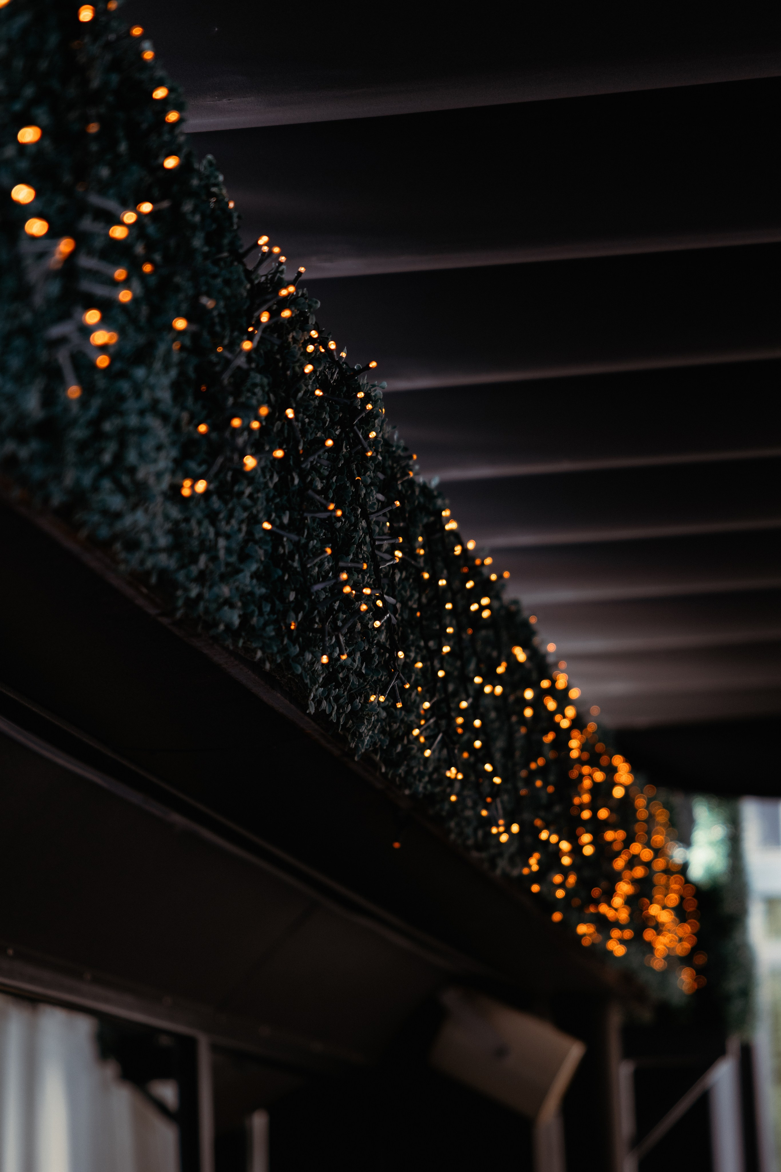 Alex Birthday Party. Дизайнер и Фотограф в Кишинёве Бусуйок Станислав