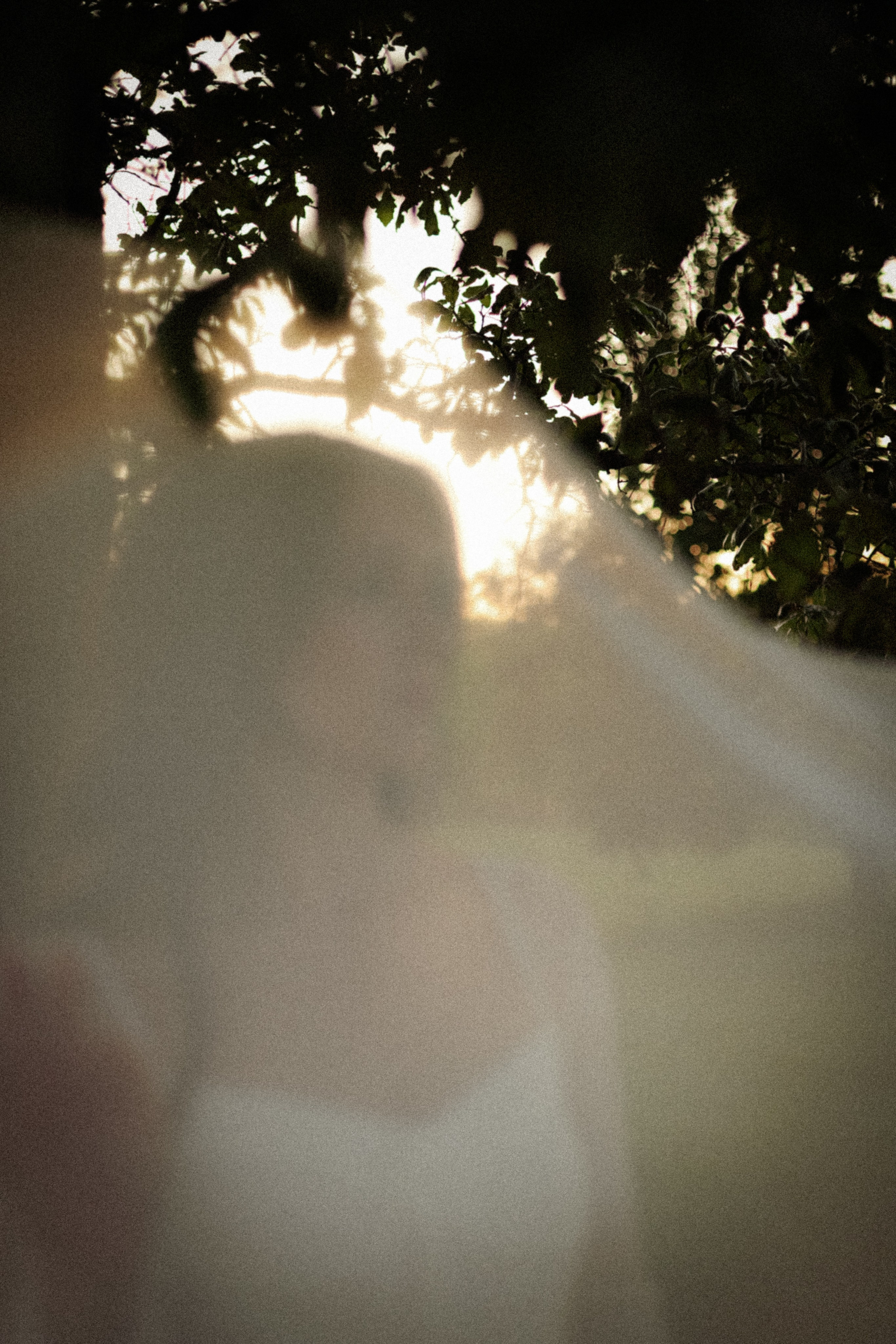 Tanita. VALERIIA VIUNOVA individual shooting\love story\event\brand