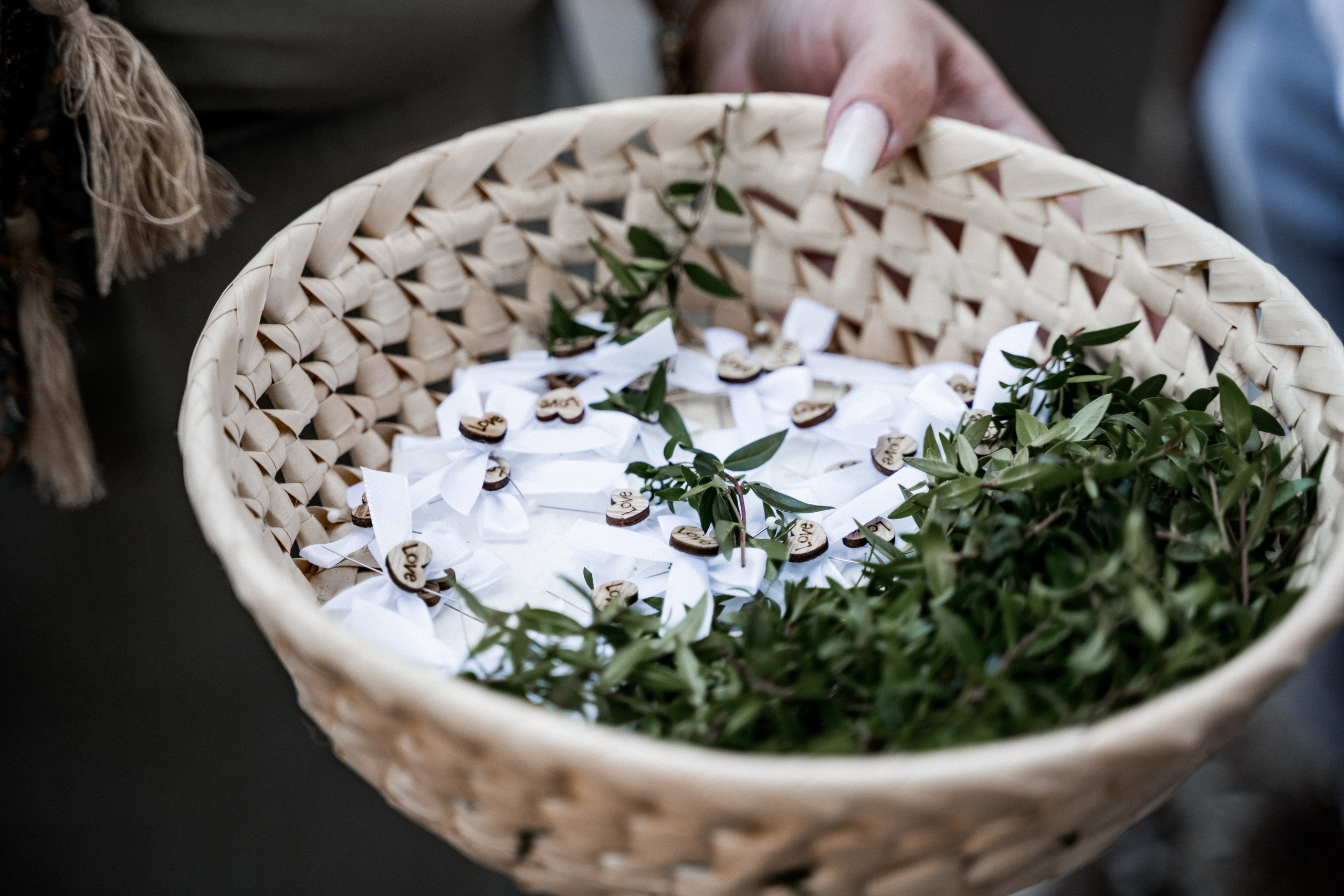 Petra & Jiri. Svatební fotograf a kameraman v Česku a po celé Evropě — Teplice, Ústí nad Labem, Praha, Drážďany