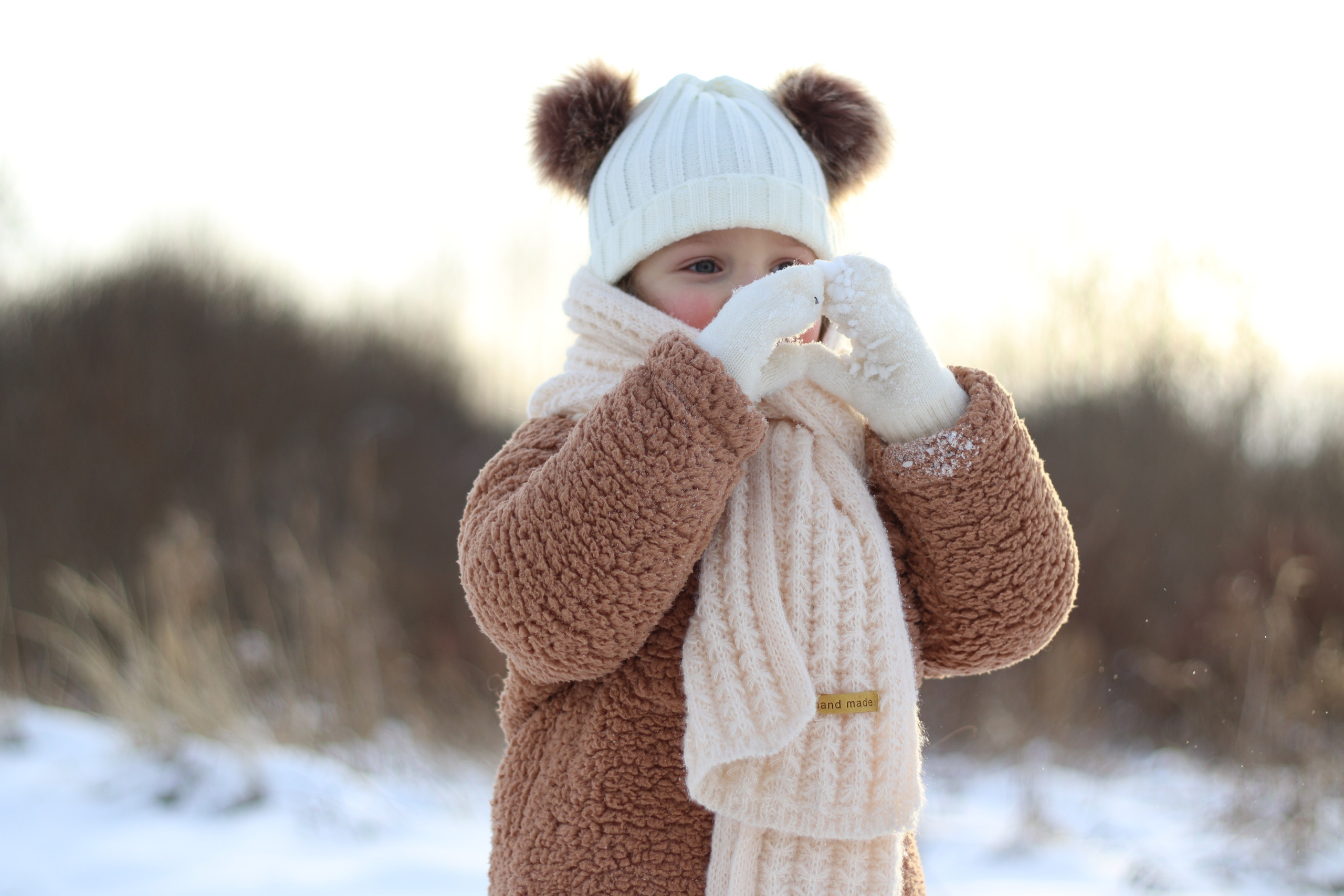 Зимняя сказка