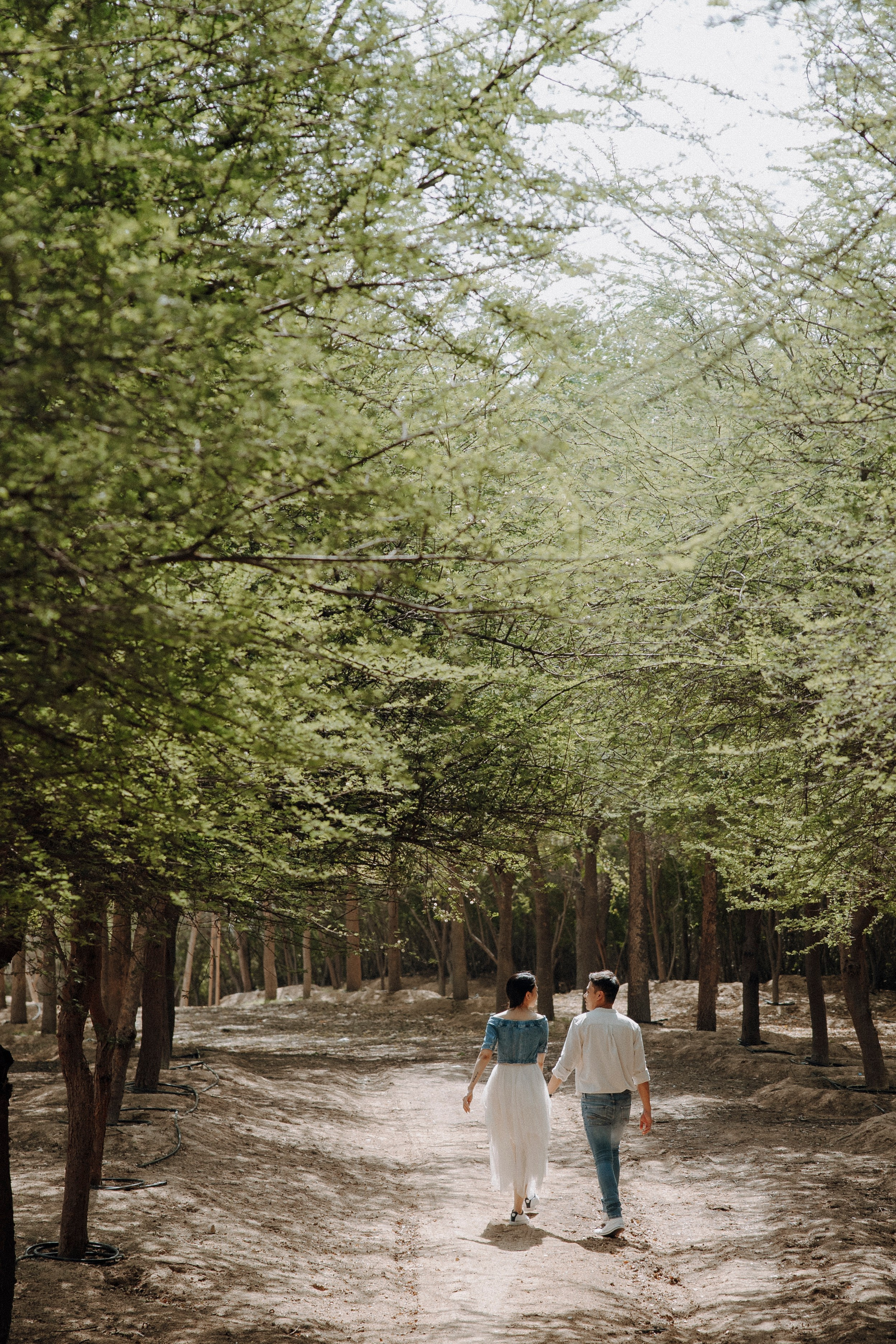 Allen & Kitty PreWedding