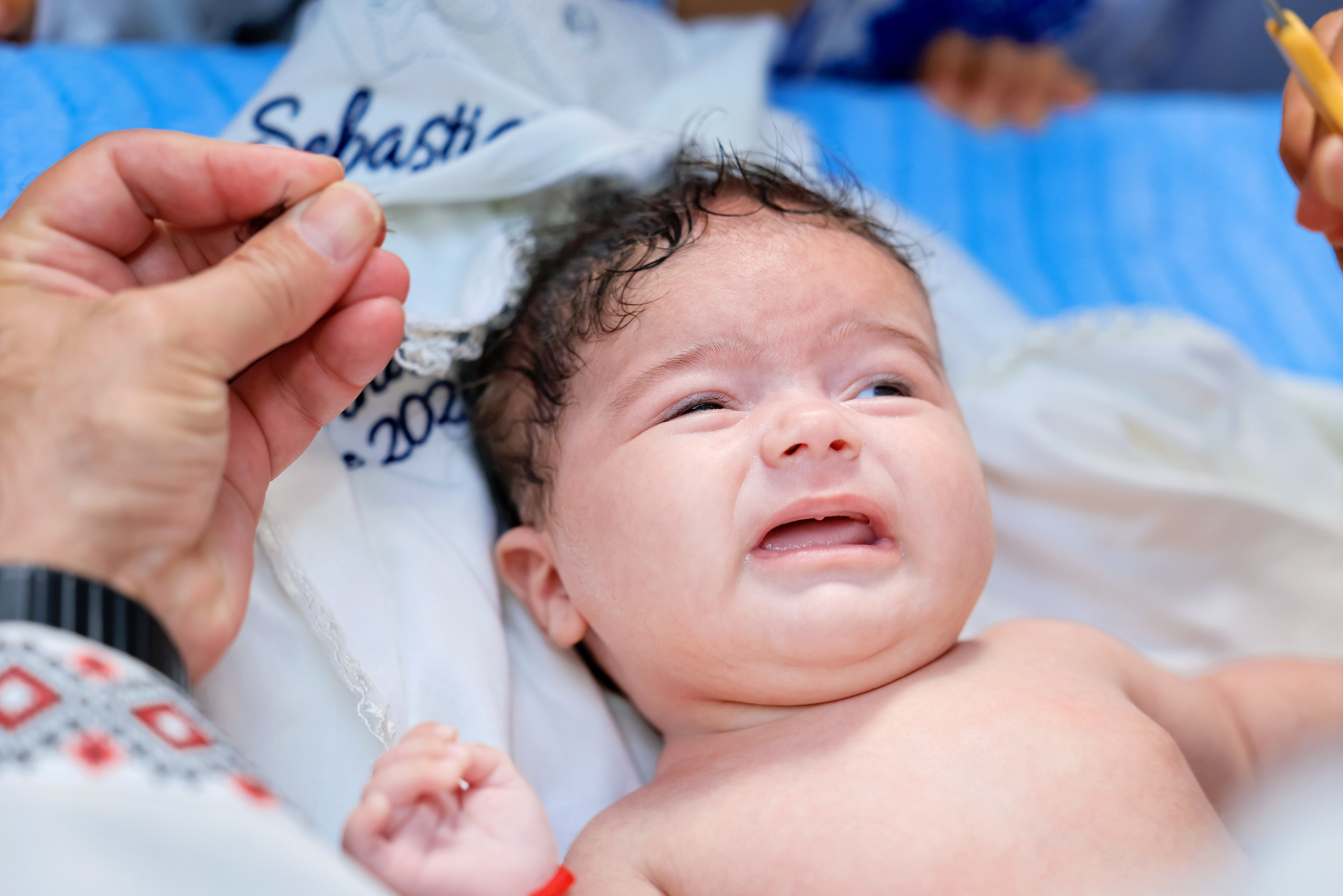 Andrei Sebastian. Moments By Gub