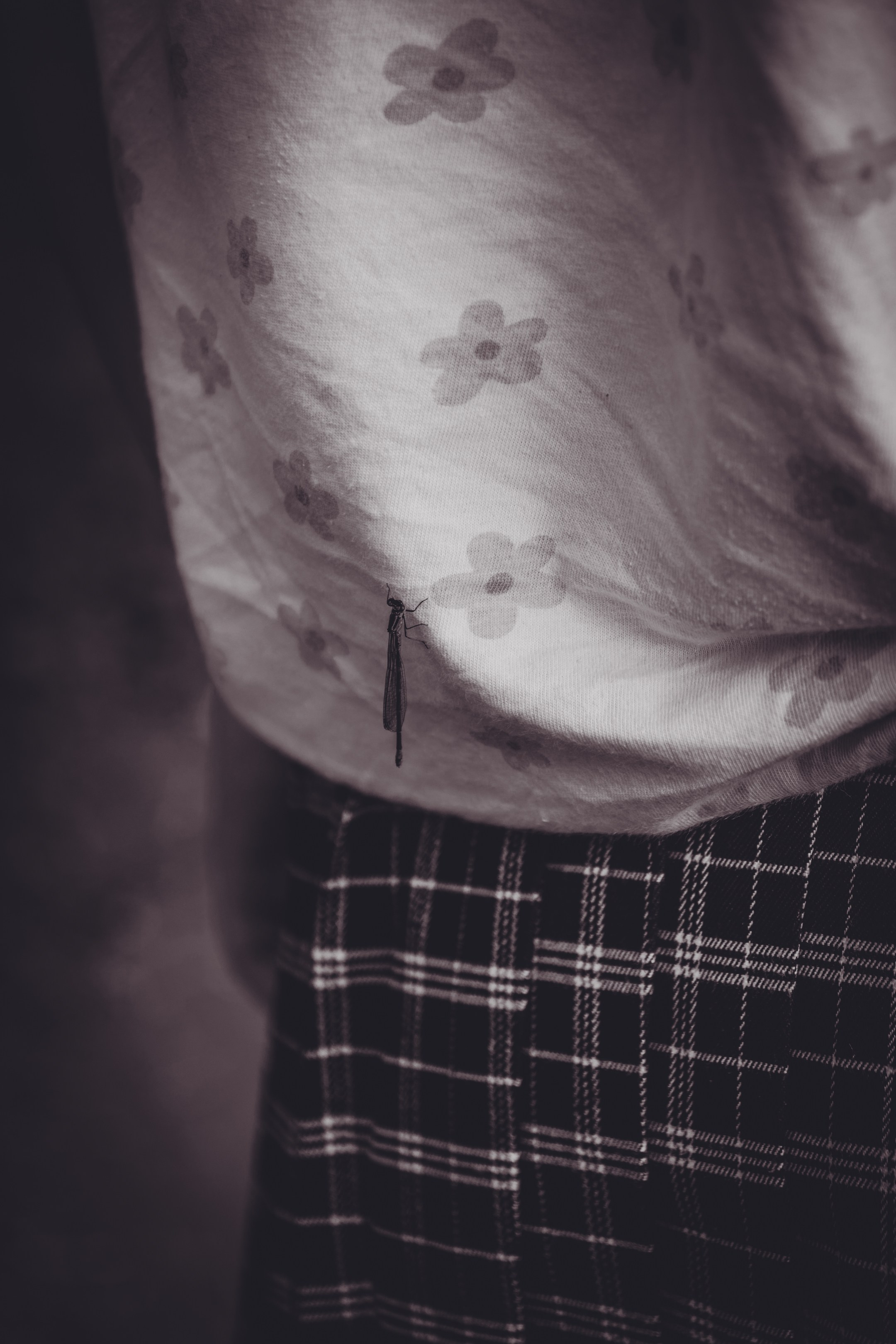 Jalutamine sõbradega (sõpruskond). Nebula 25 — Fotod teie hingele