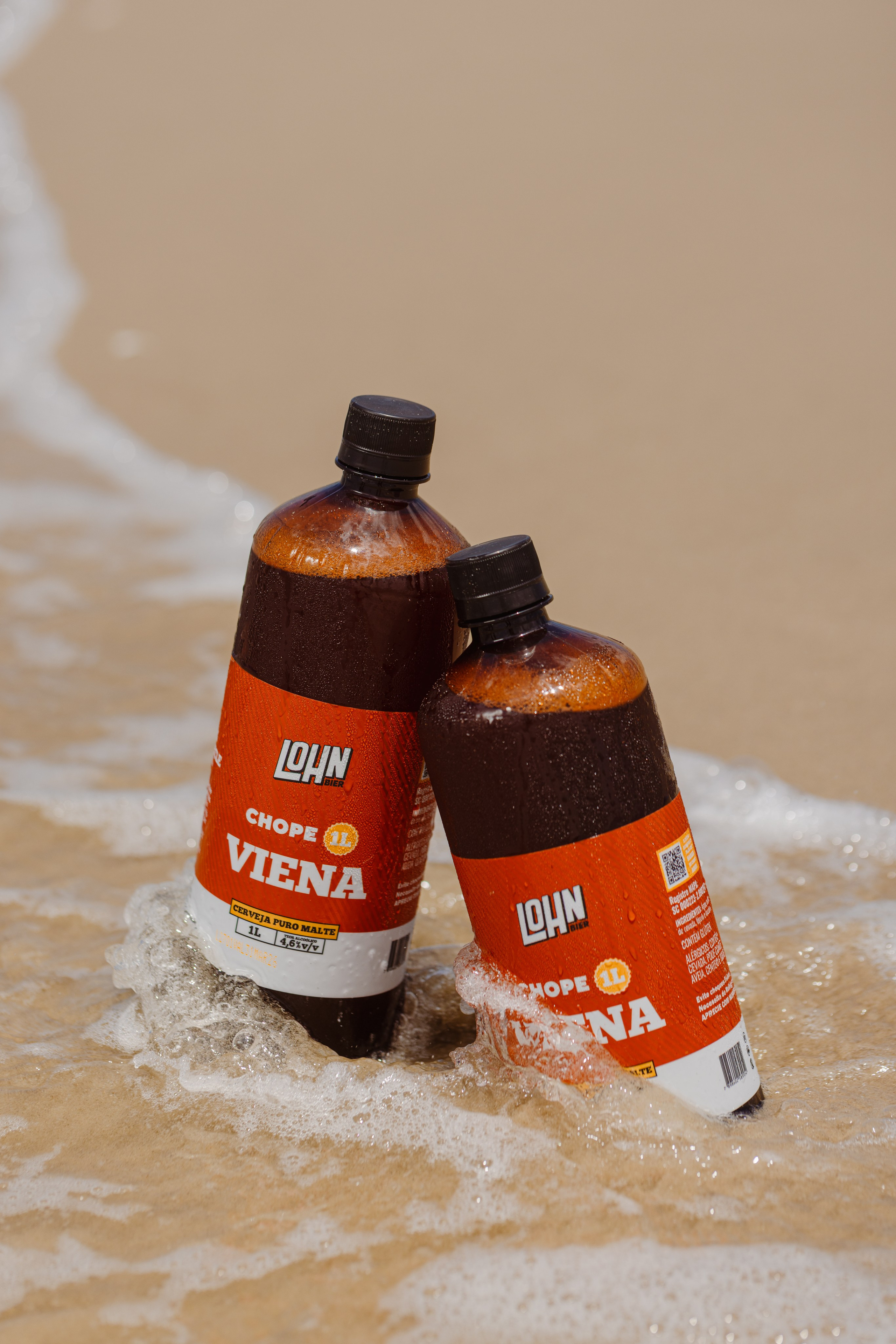 Lohnbier. ESTUDIO DOZE