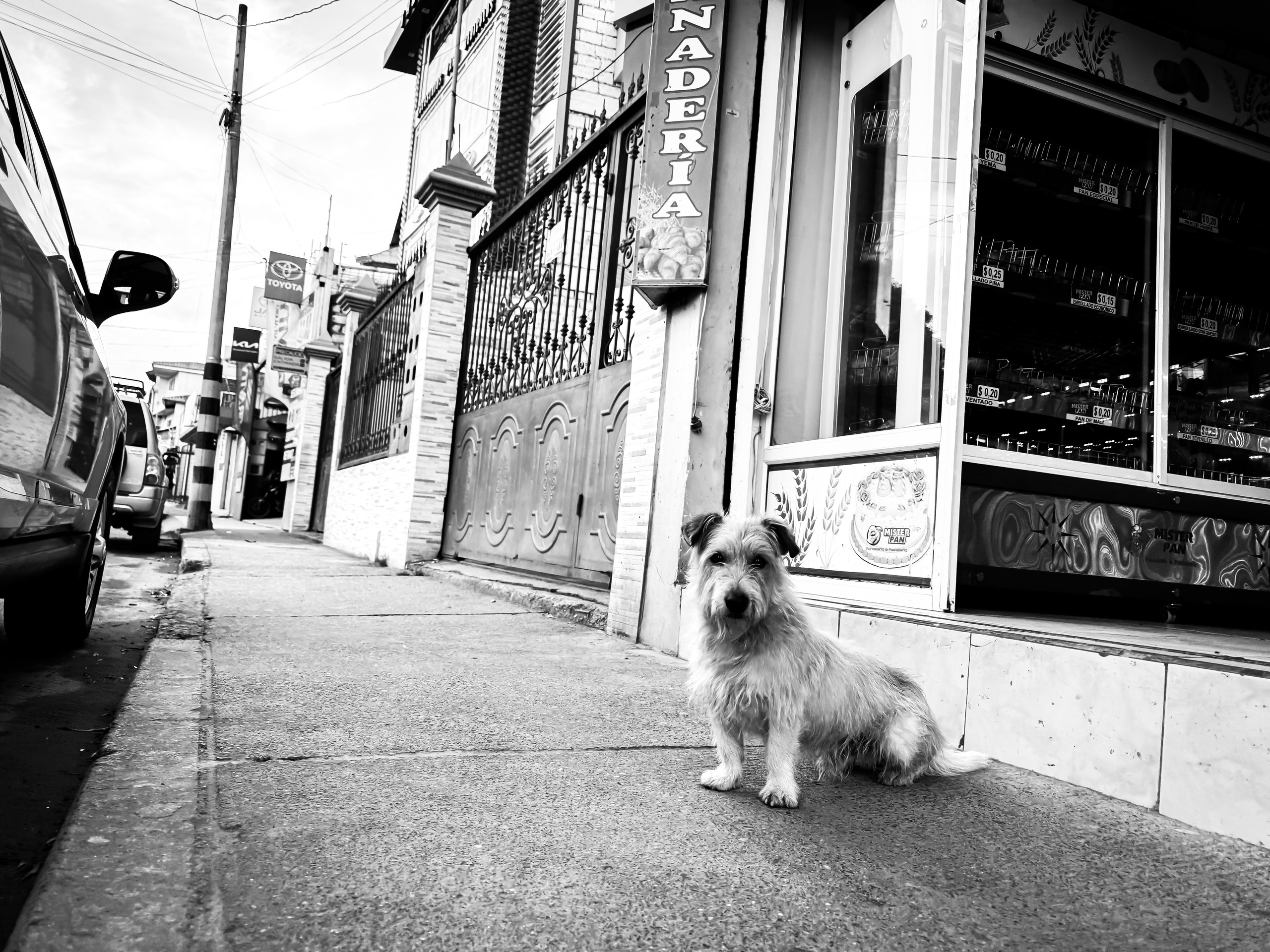 Black and White Street Photography | Jordy Chuquimarca. Jordy Chuquimarca Fotografía