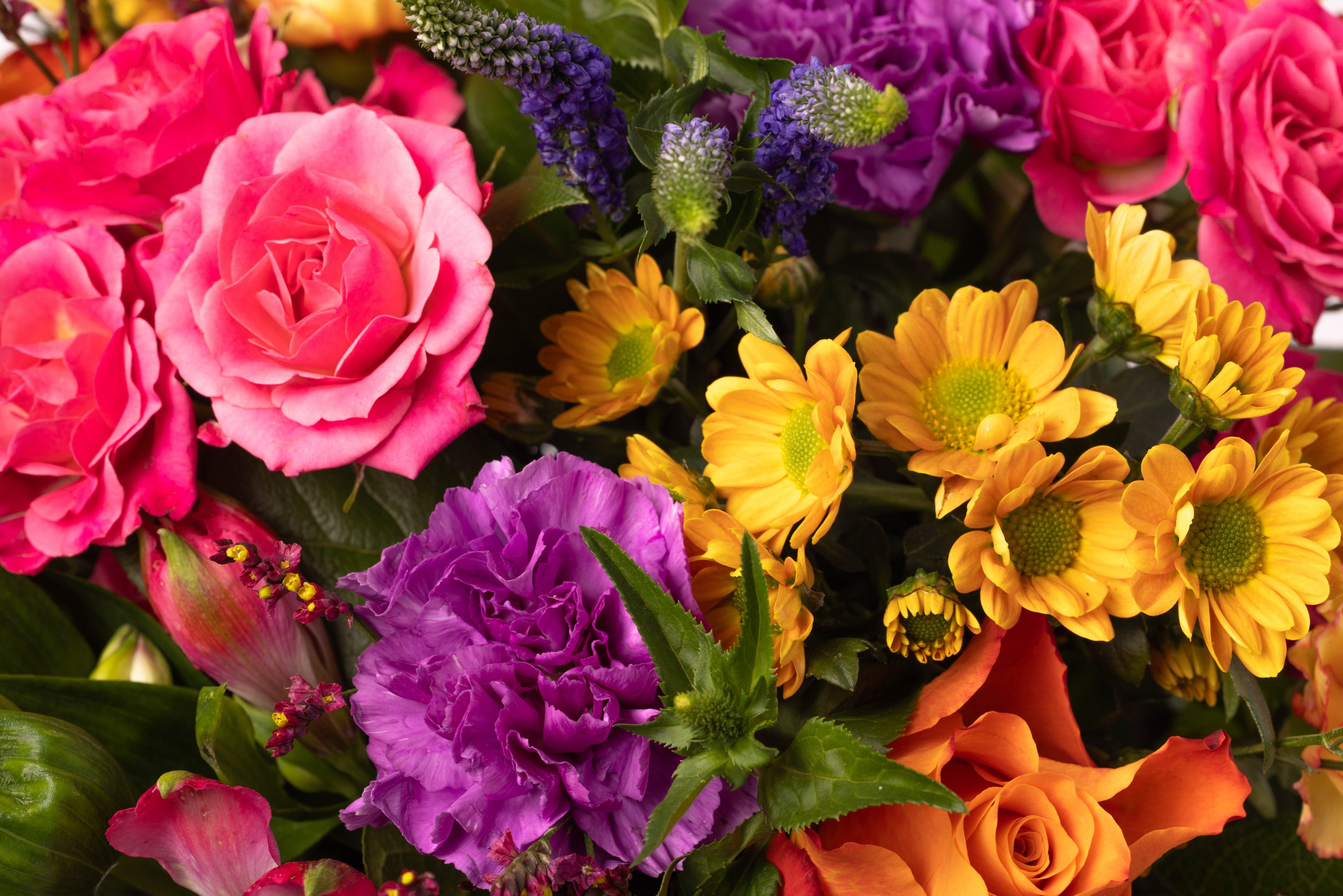 WEBSHOP BLOMSTERBUTIK. Fotograf Aarhus | Portrætfoto Århus | Flotte billeder