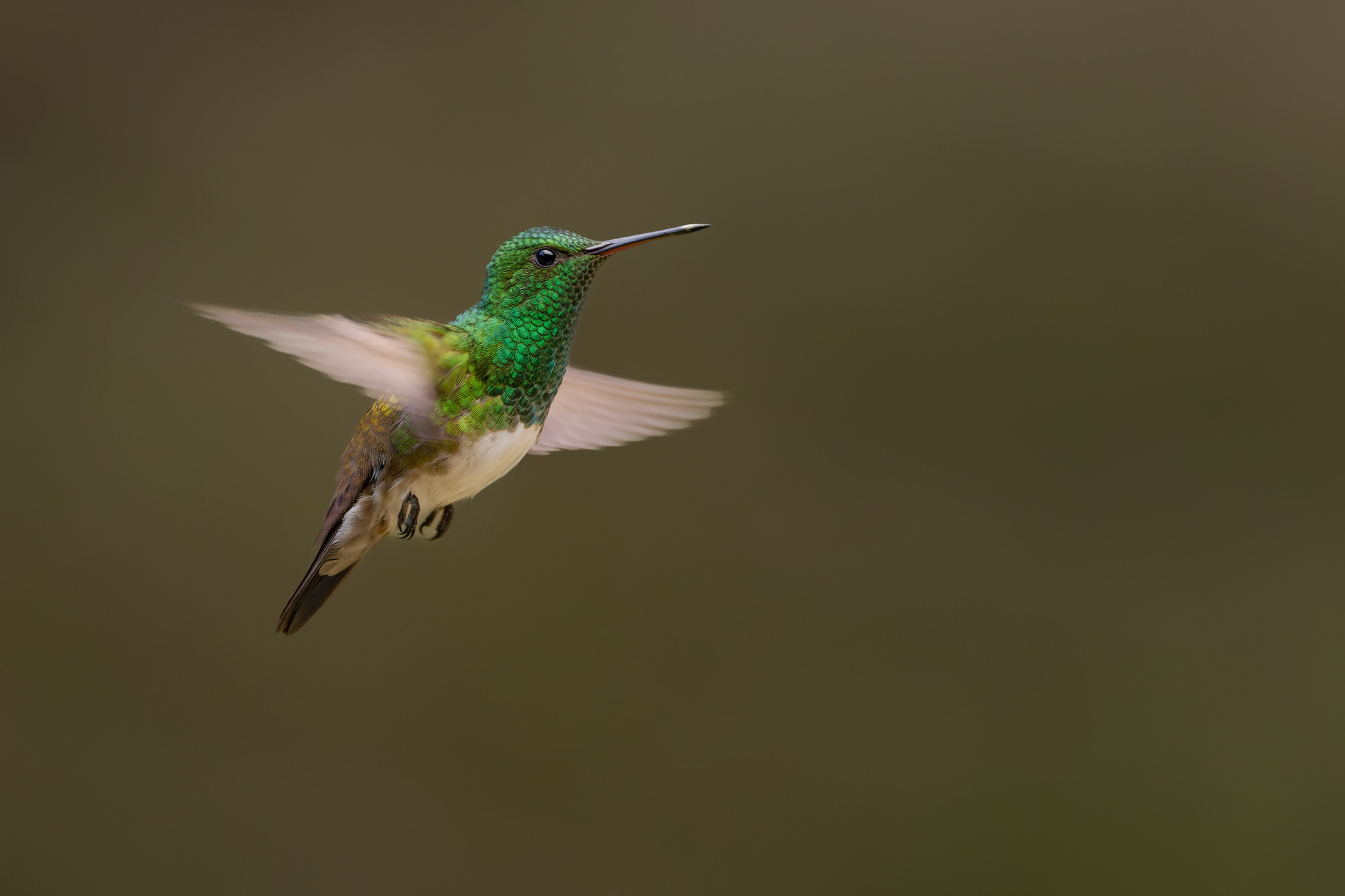 Akhil Vinayak Menon Photography