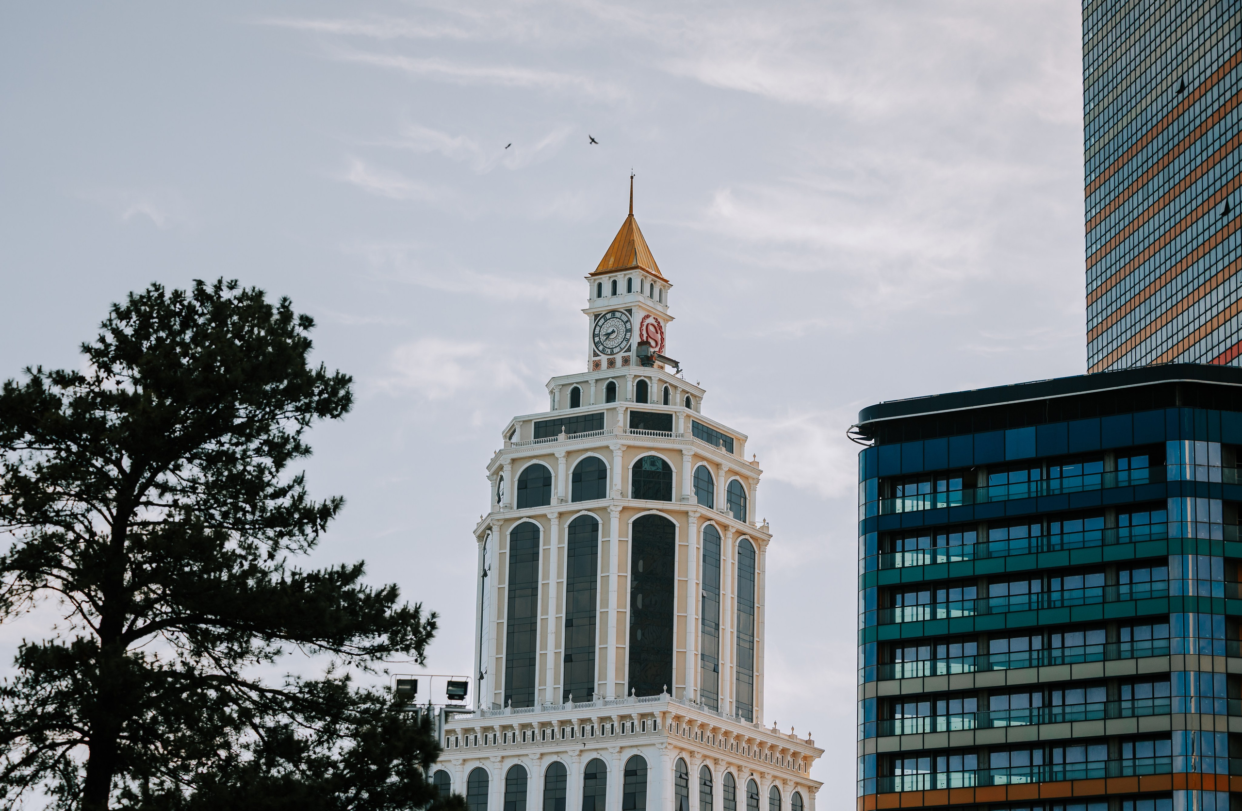 Barel Corporation — Batumi Georgia. AMIR BUCHNIK PHOTOGRAPHER